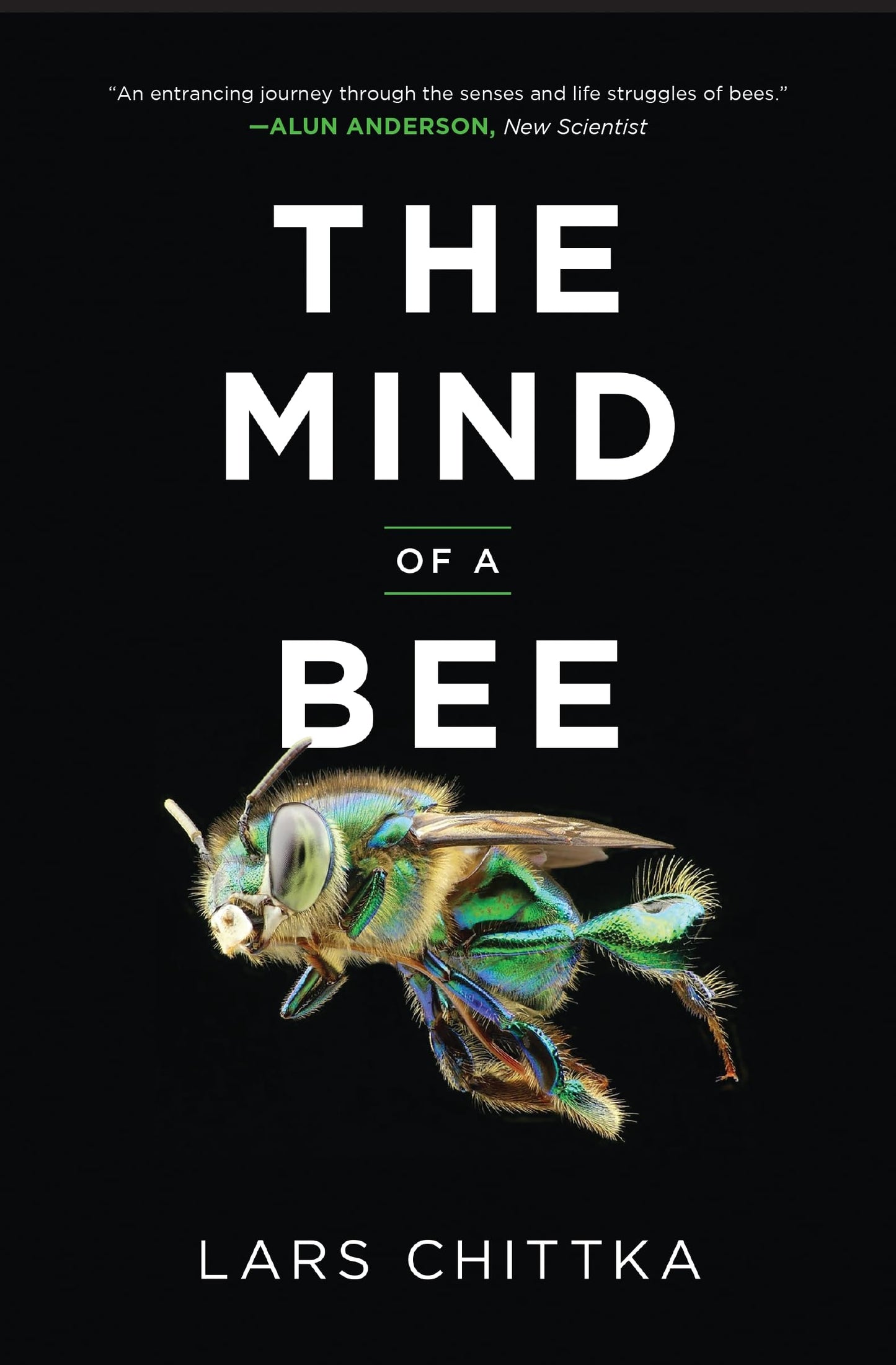 Libro: The Mind of a Bee