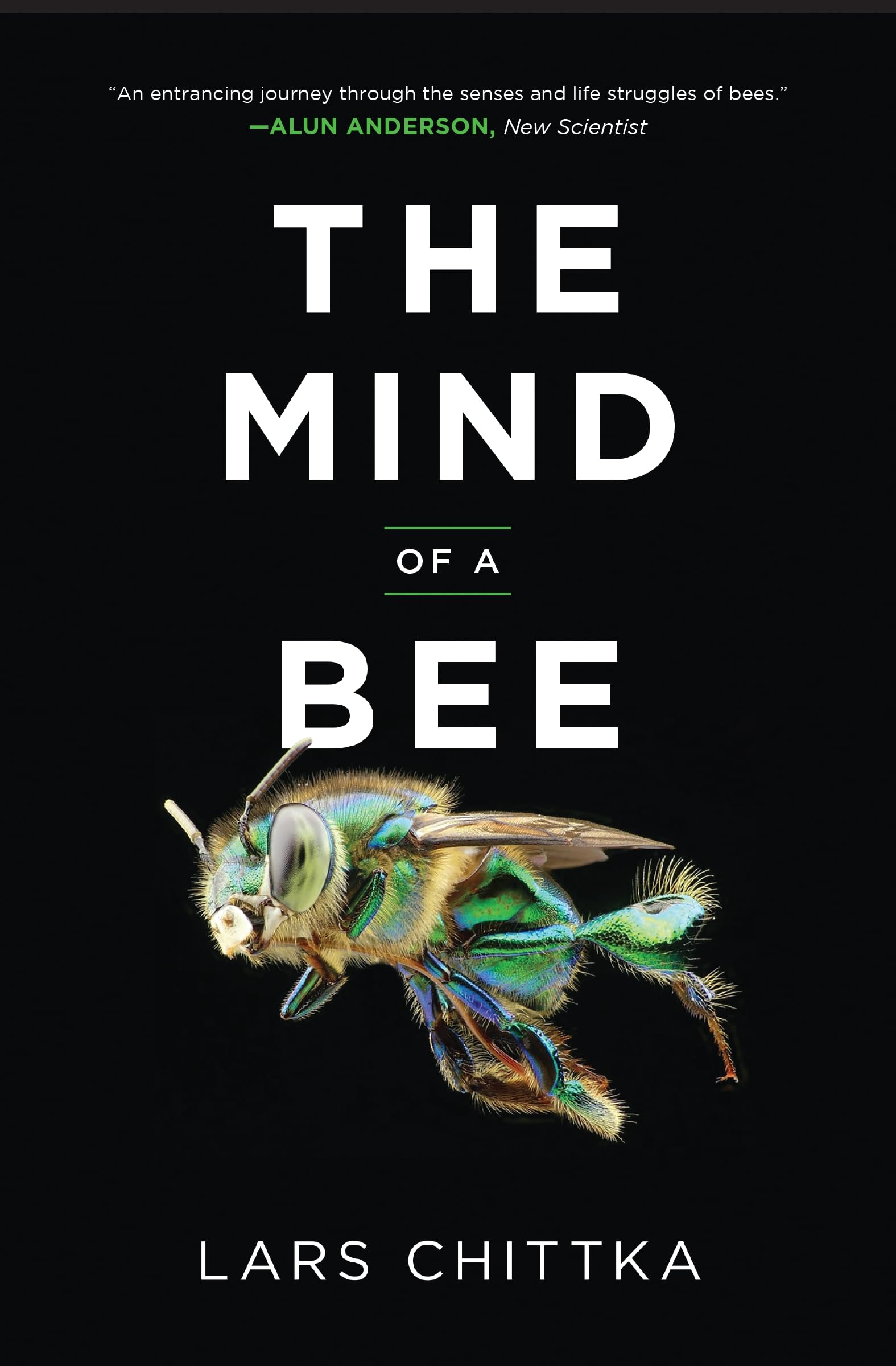 Libro: The Mind of a Bee