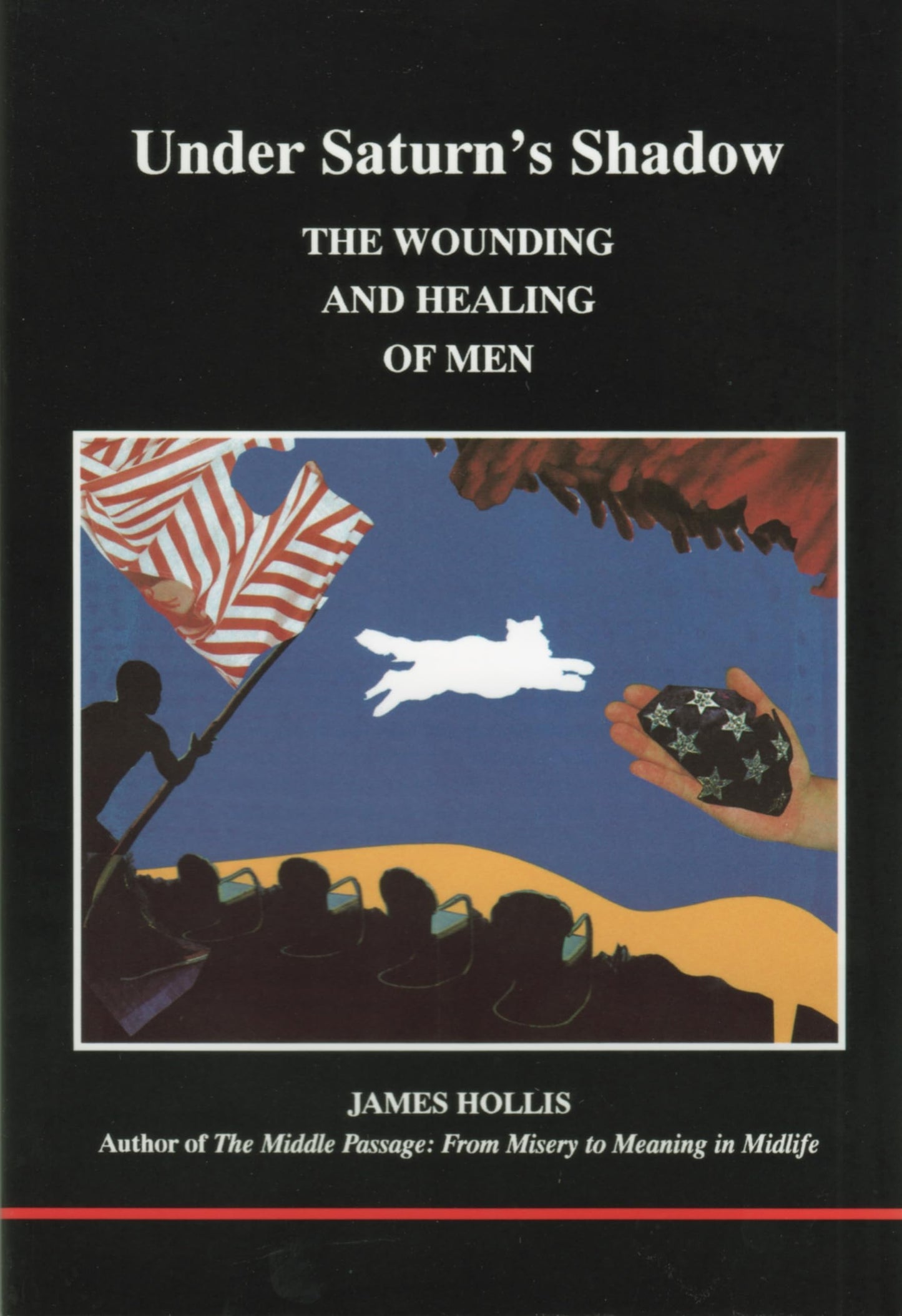 Libro: Under Saturn's Shadow: The Wounding and Healing of Men (STUDIES IN JUNGIAN PSYCHOLOGY BY JUNGIAN ANALYSTS)