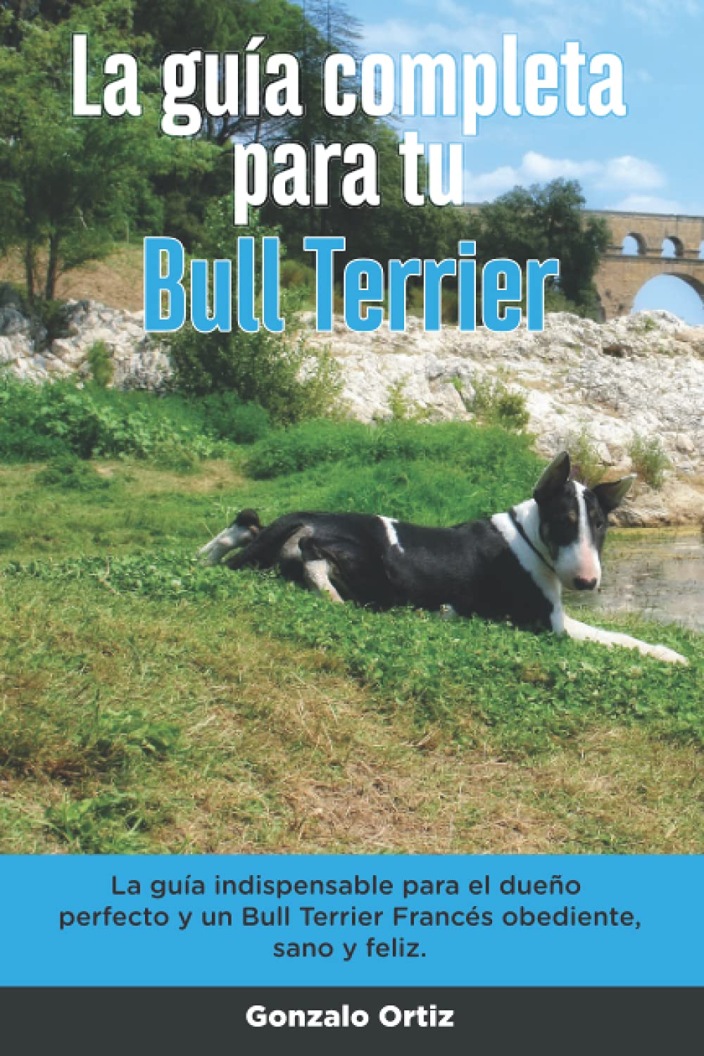 Libro: La Guía Completa Para Tu Bull Terrier: La guía indispensable para el dueño perfecto y un Bull Terrier obediente, sano y feliz.