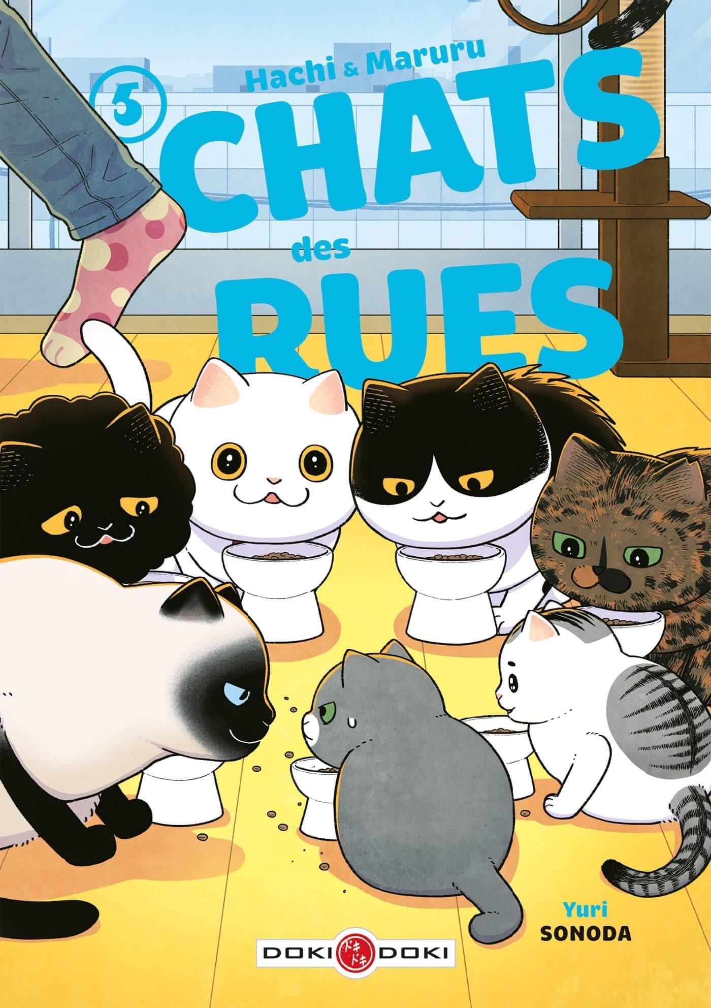 Libro: Hachi & Maruru - Chats des rues - vol. 05