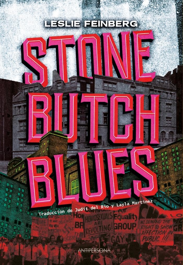Libro: Stone Butch Blues