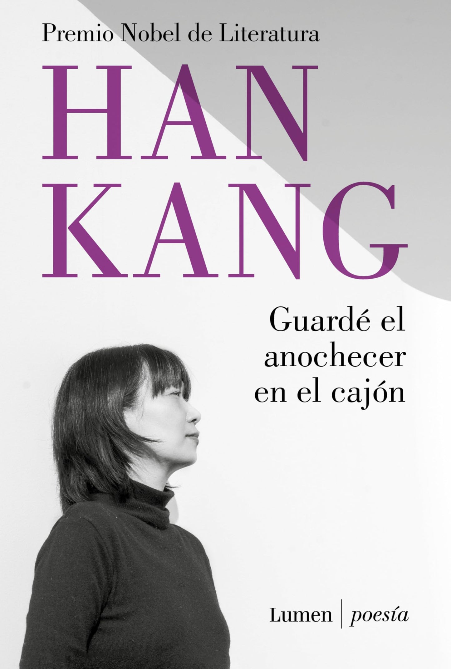 Libro: Guardé el anochecer en el cajón (Poesía)