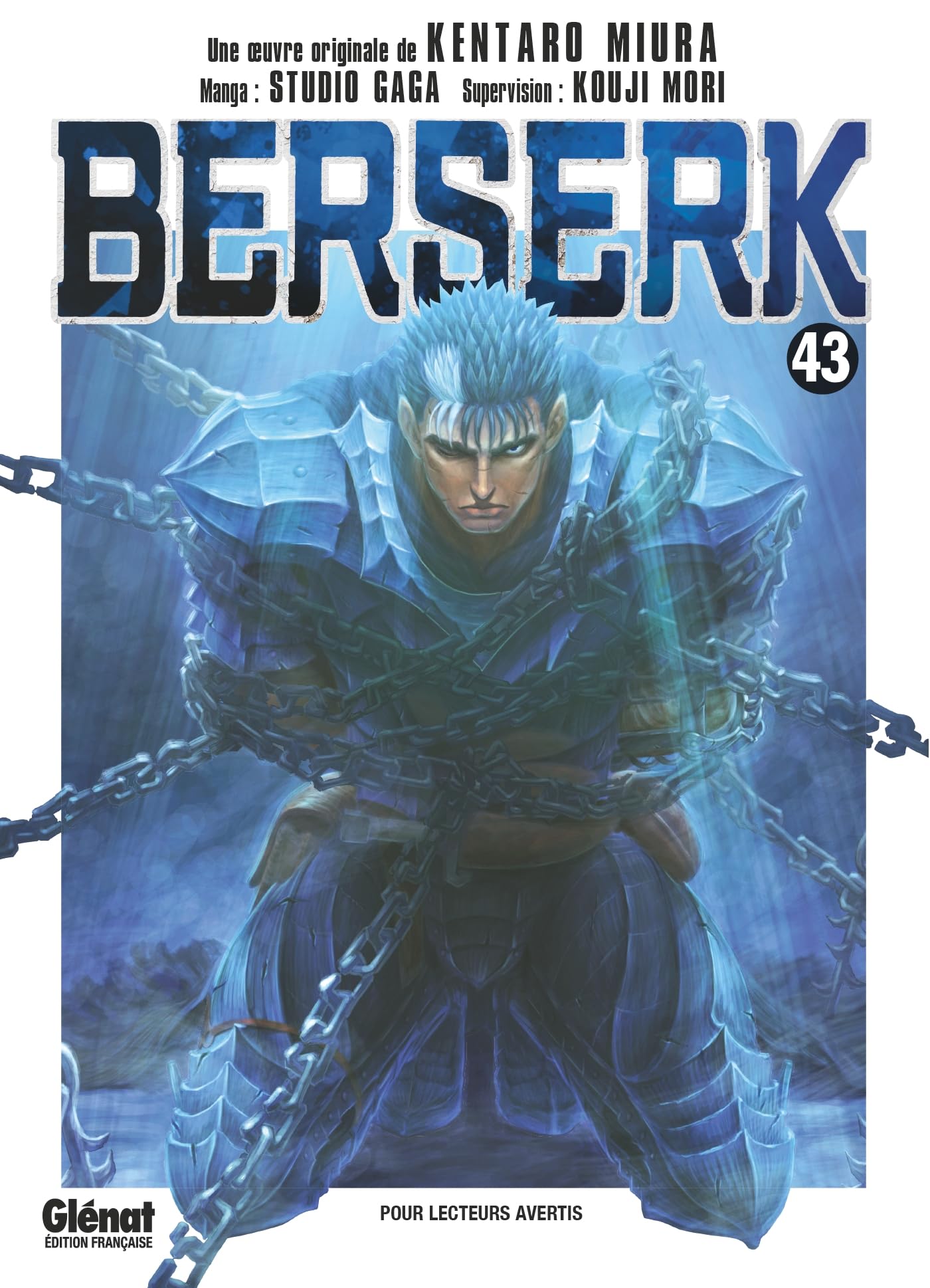 Libro: Berserk - Tome 43