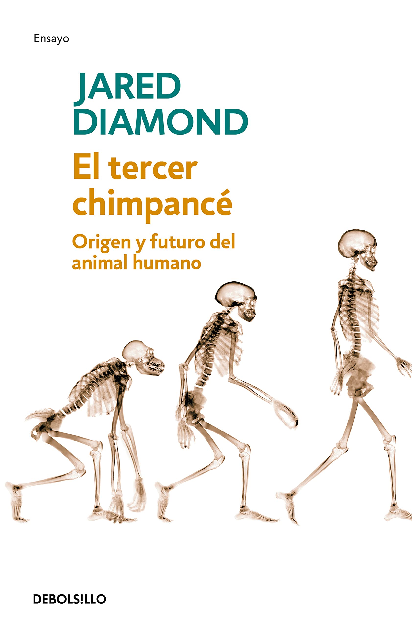 Libro: El tercer chimpancé: Origen y futuro del animal humano (Spanish Edition)