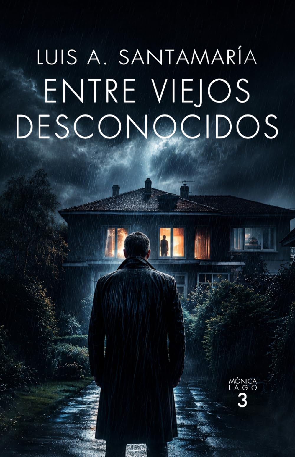 Libro: Entre Viejos Desconocidos: No contraigas deudas con el pasado: 3 (Serie Mónica Lago)