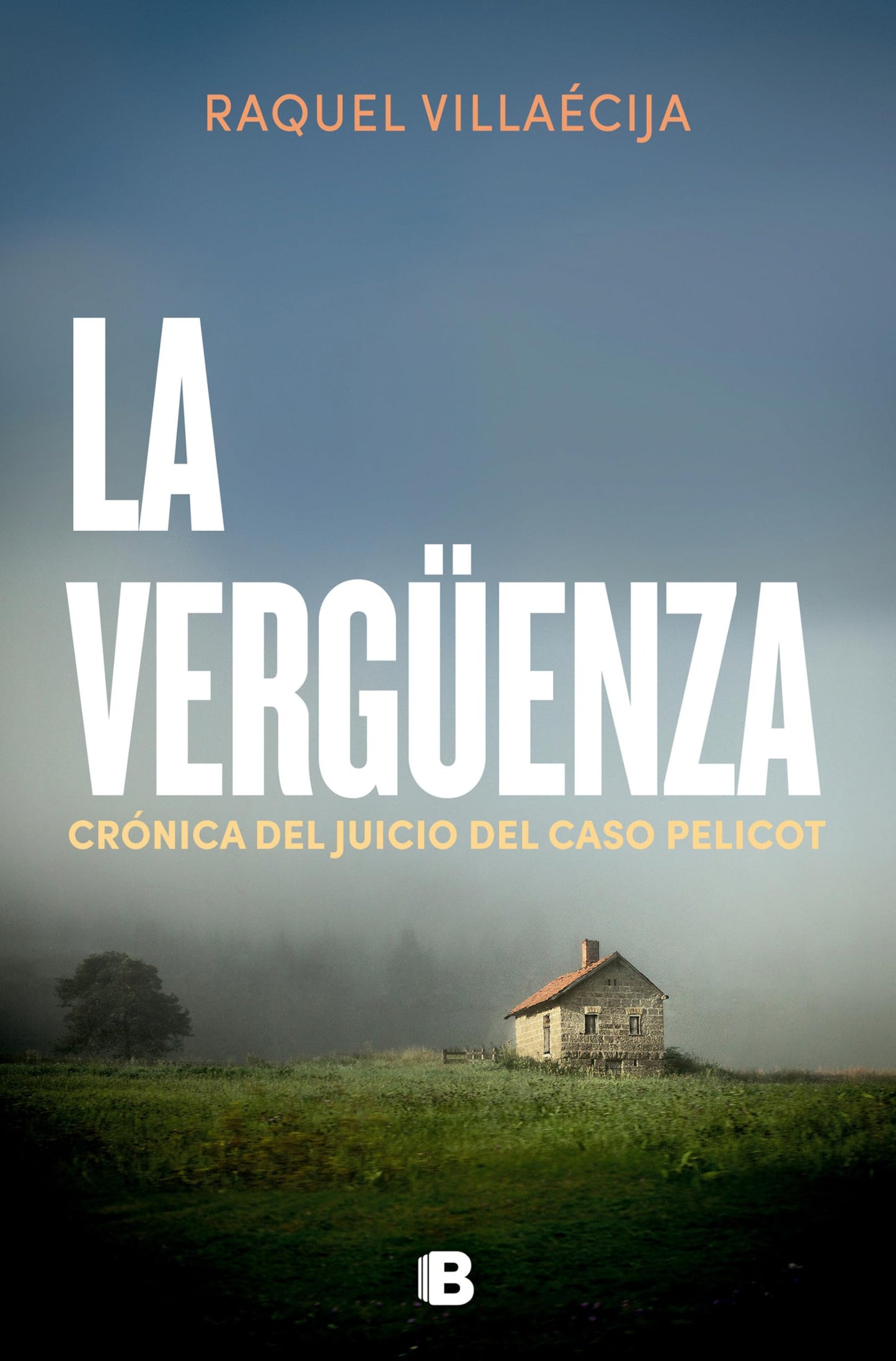 Libro: La vergüenza. Crónica del juicio del caso Pelicot / The Shame (Spanish Edition)