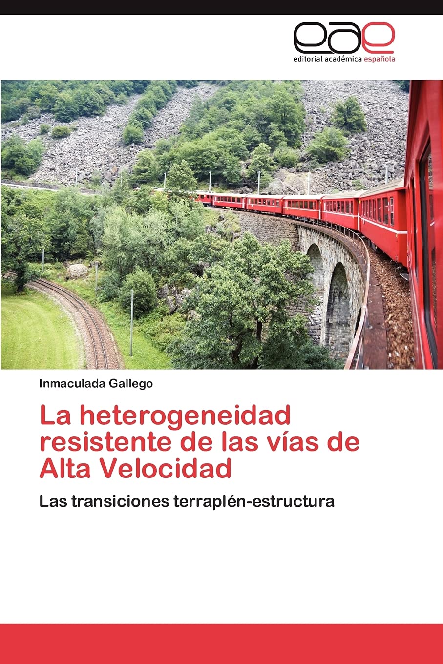 Libro: La heterogeneidad resistente de las vías de Alta Velocidad: Las transiciones terraplén-estructura (Spanish Edition)