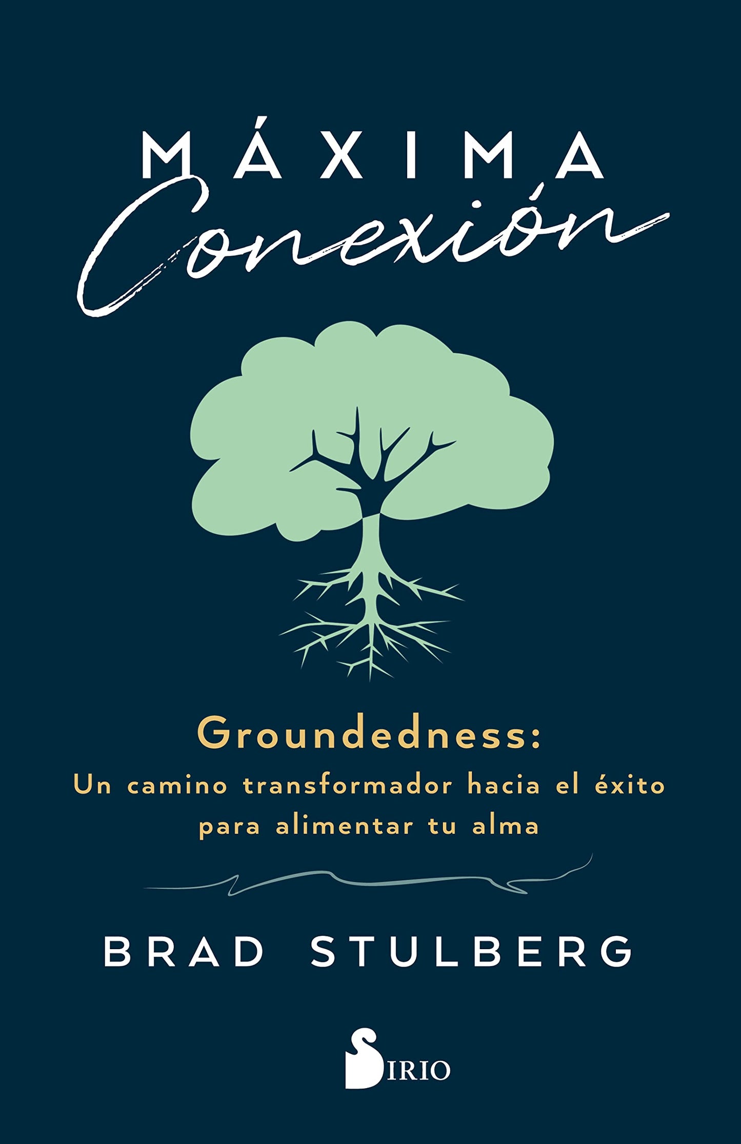 Libro: Máxima Conexión: Un camino transformador hacia el éxito para alimentar tu alma (SIN COLECCION)