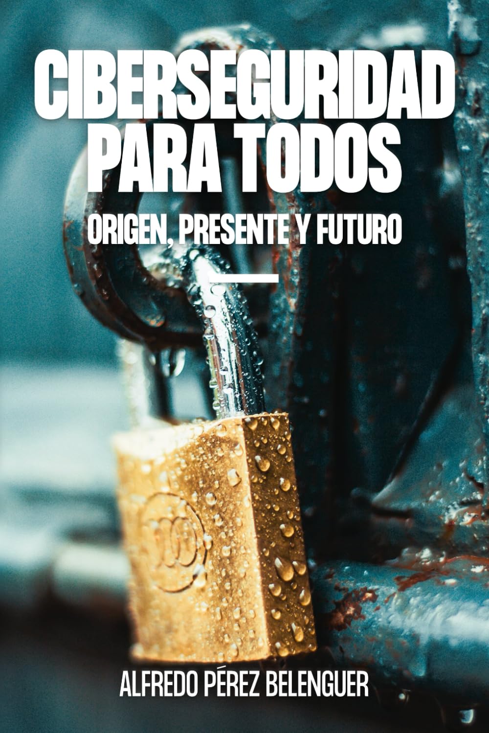 Libro: CIBERSEGURIDAD PARA TODOS: ORIGEN, PRESENTE Y FUTURO (Spanish Edition)