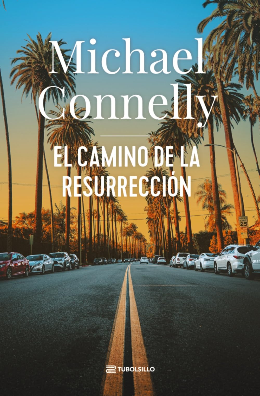 Libro: El camino de la resurrección (Novela negra)
