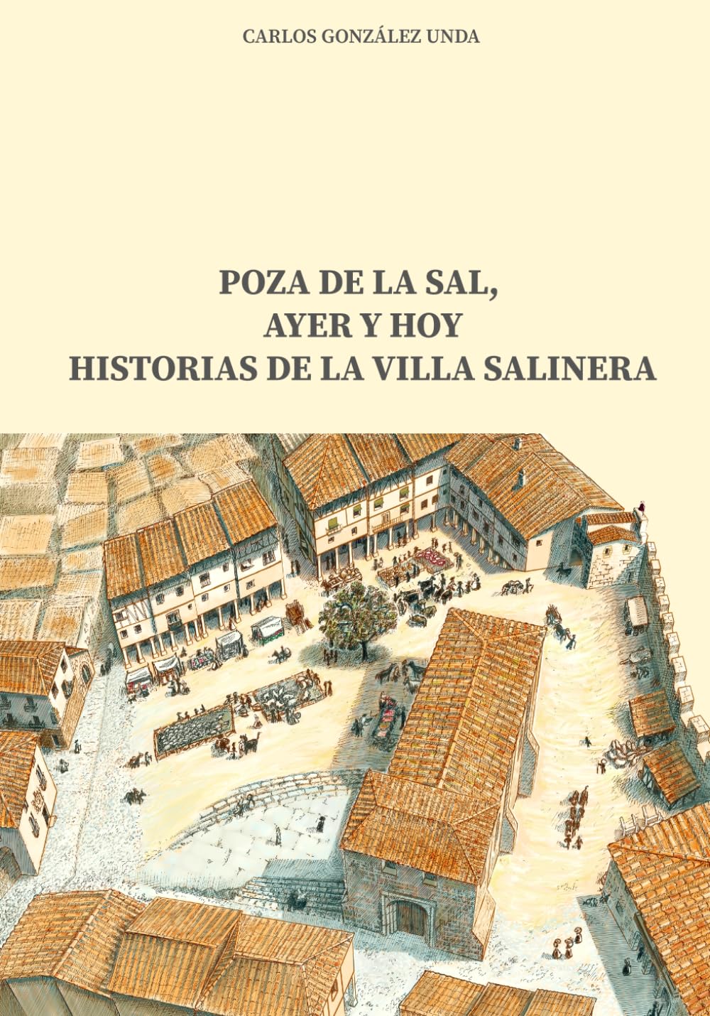 Libro: POZA DE LA SAL, AYER Y HOY: HISTORIAS DE LA VILLA SALINERA