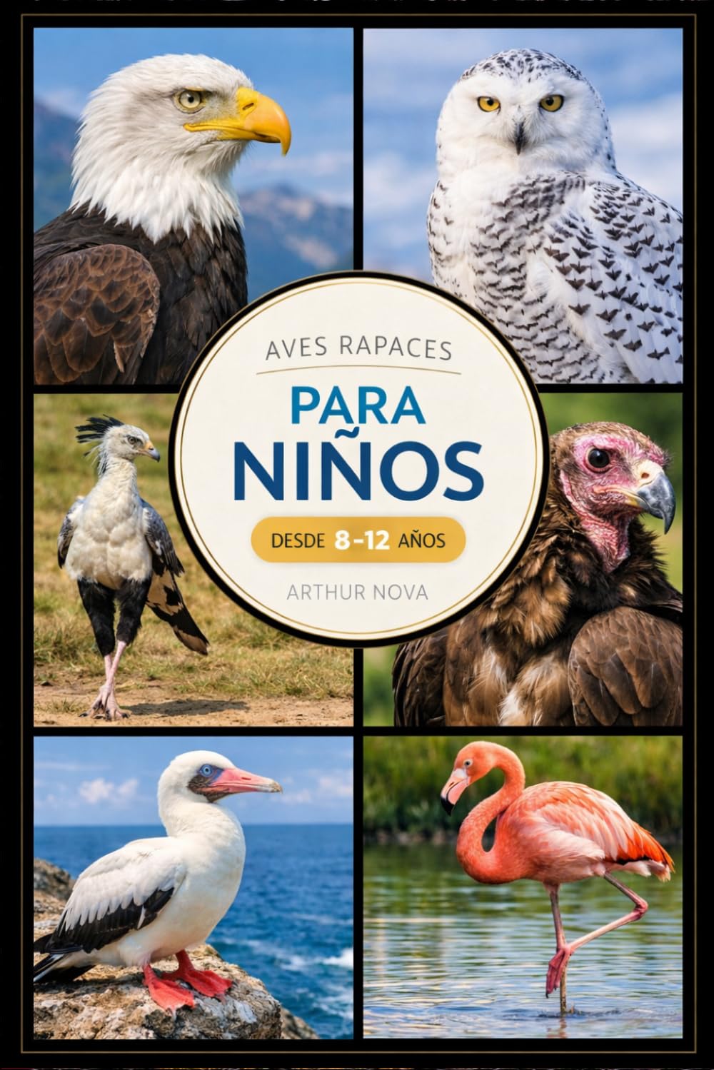 Libro: AVES RAPACES PARA NIÑOS: Descubre las aves rapaces más impresionantes de la naturaleza