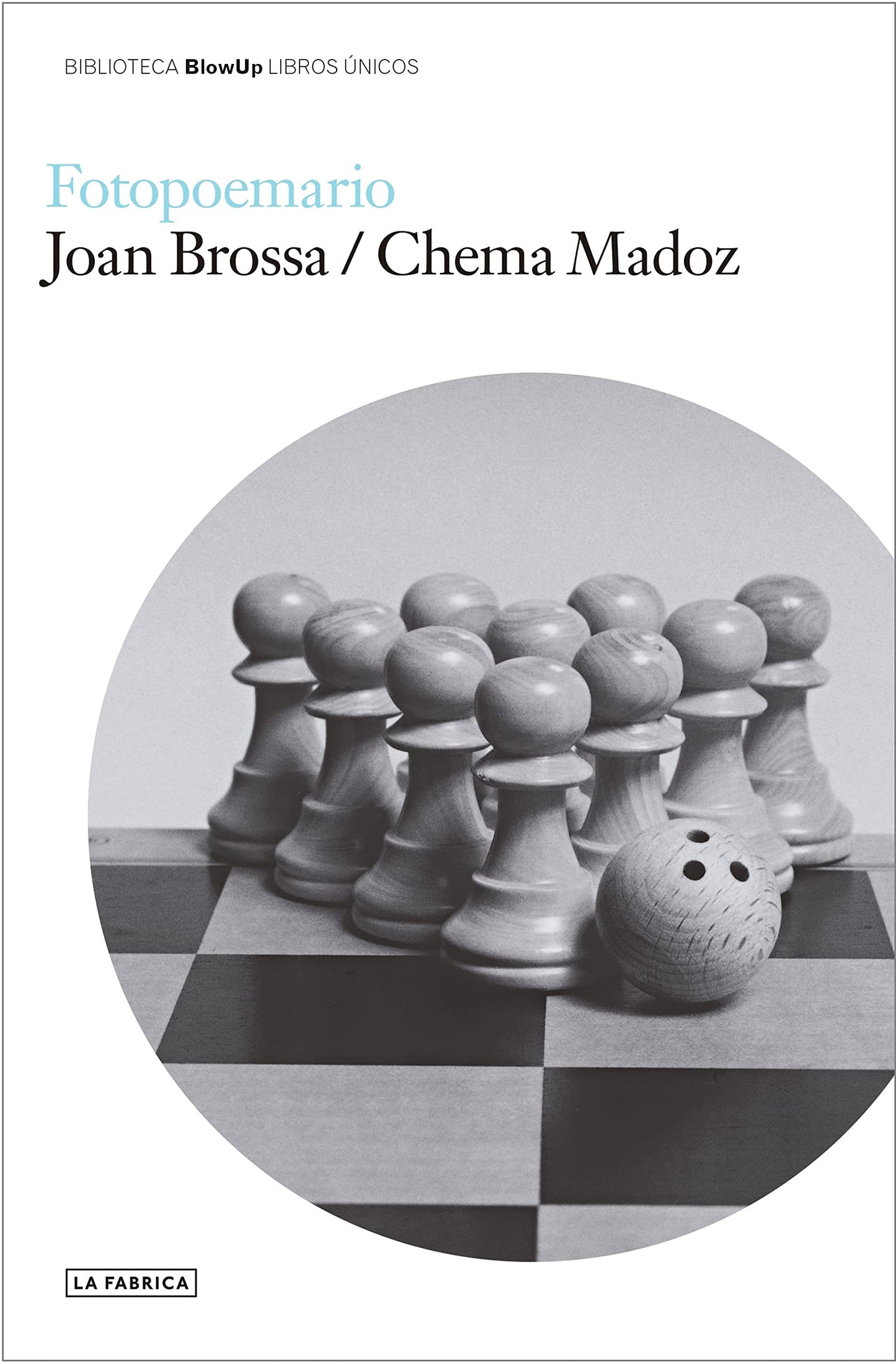 Libro: Fotopoemario.