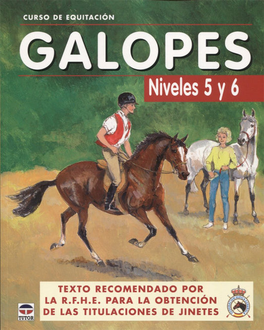 CURSO DE EQUITACIÓN. GALOPES NIVELES 5 Y 6