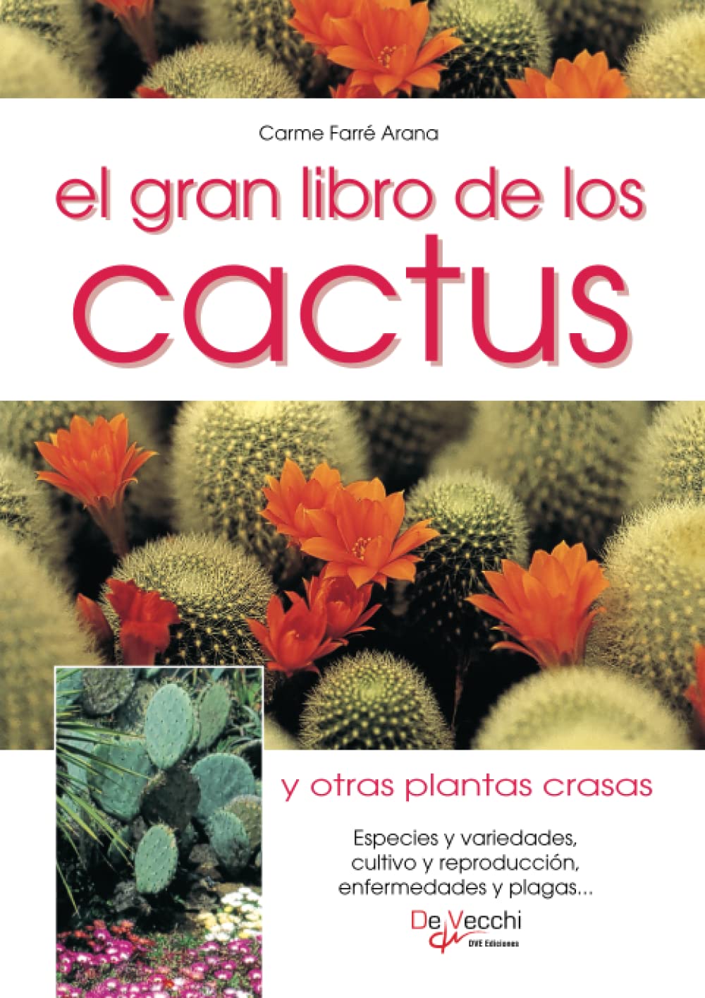 Libro: El gran libro de los cactus y otras plantas crasas (Spanish Edition)