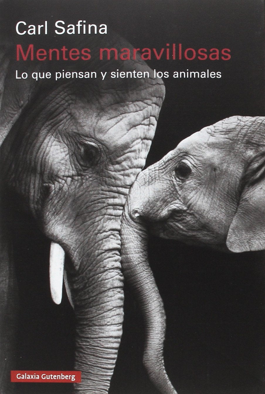 Libro: Mentes maravillosas: Lo que piensan y sienten los animales (Rústica)