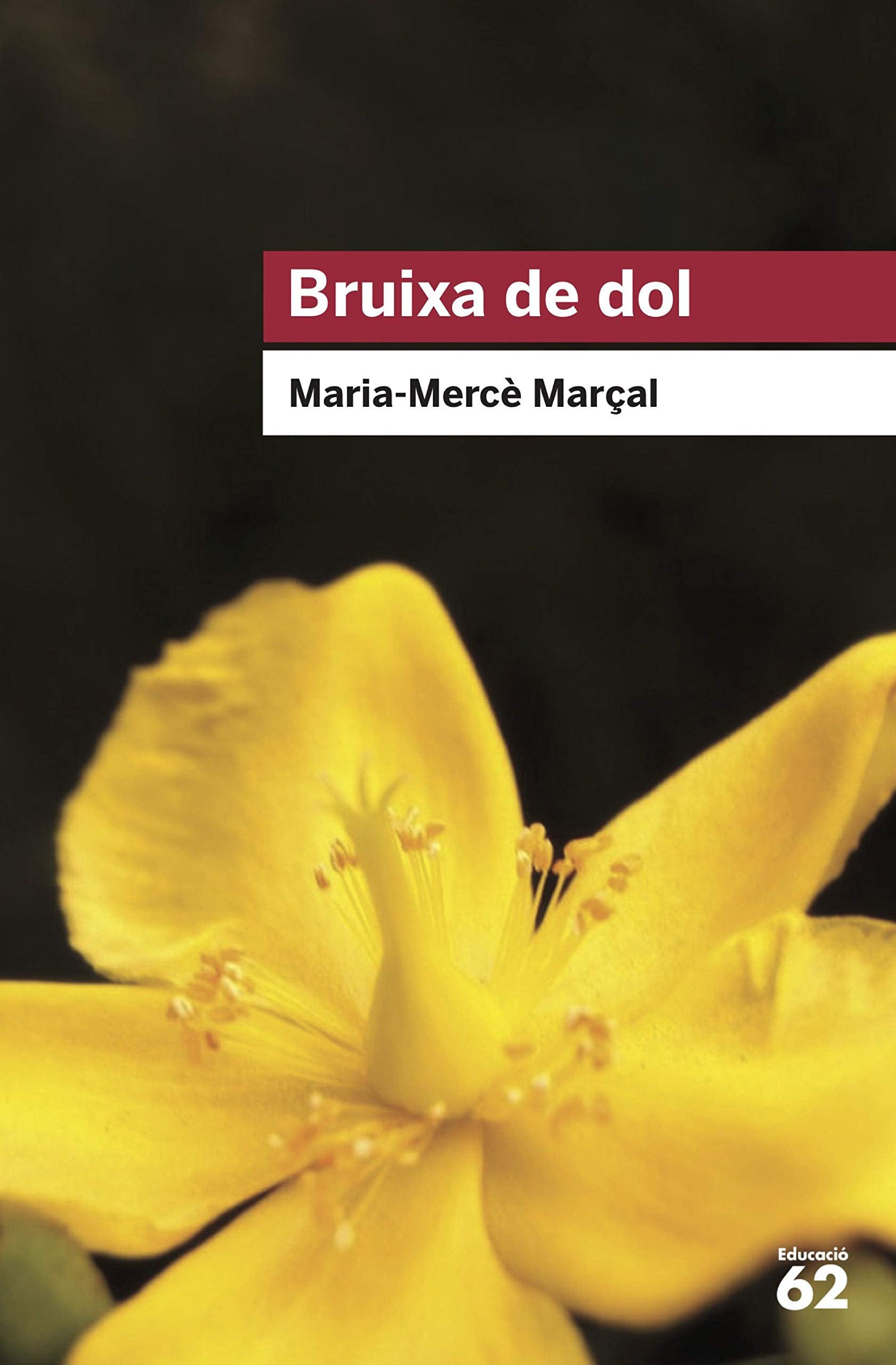 Libro: Bruixa de dol (1977-1979) (Educació 62)