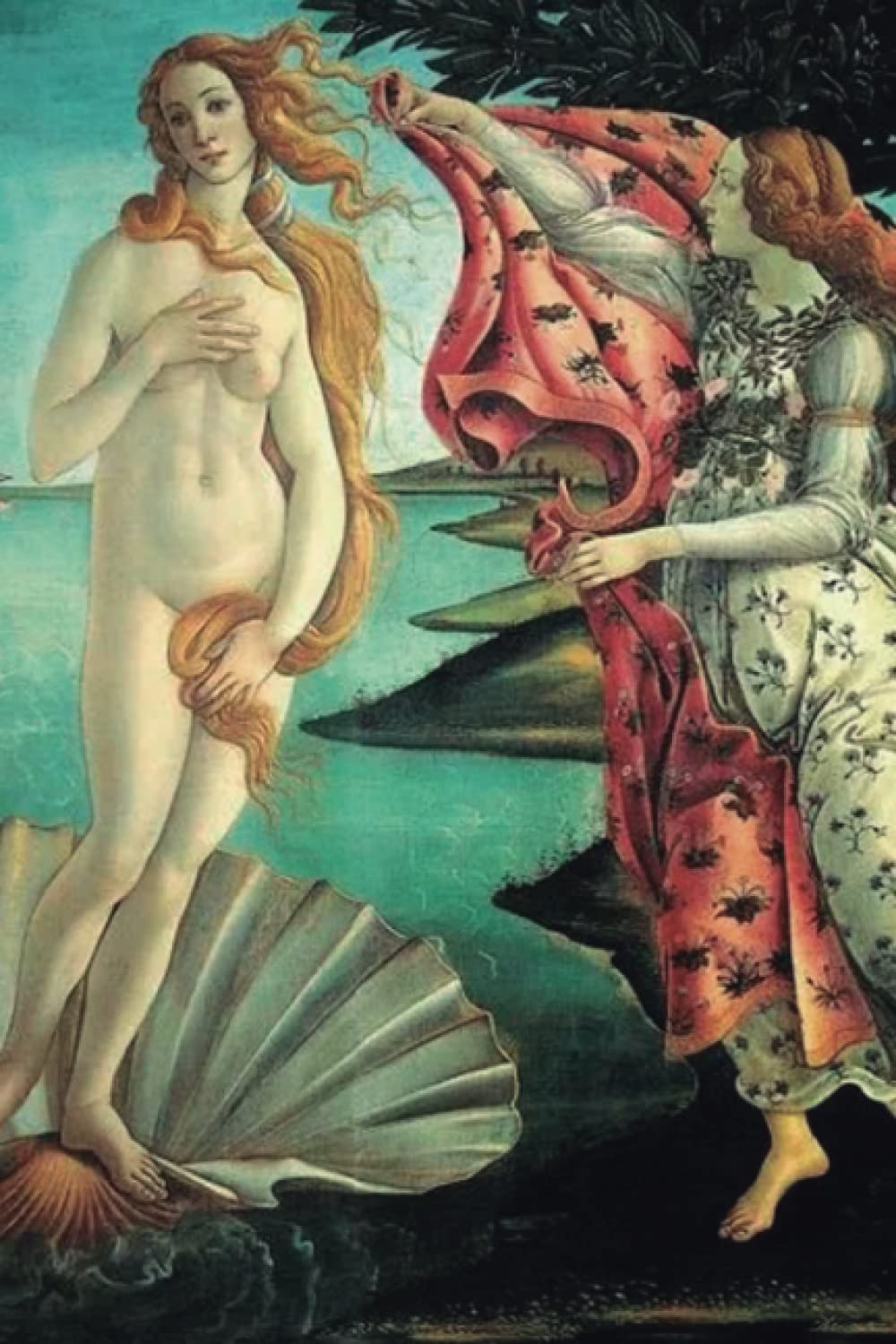 Libro: Libreta/Sketchbook de Sandro Botticelli (Spanish Edition)