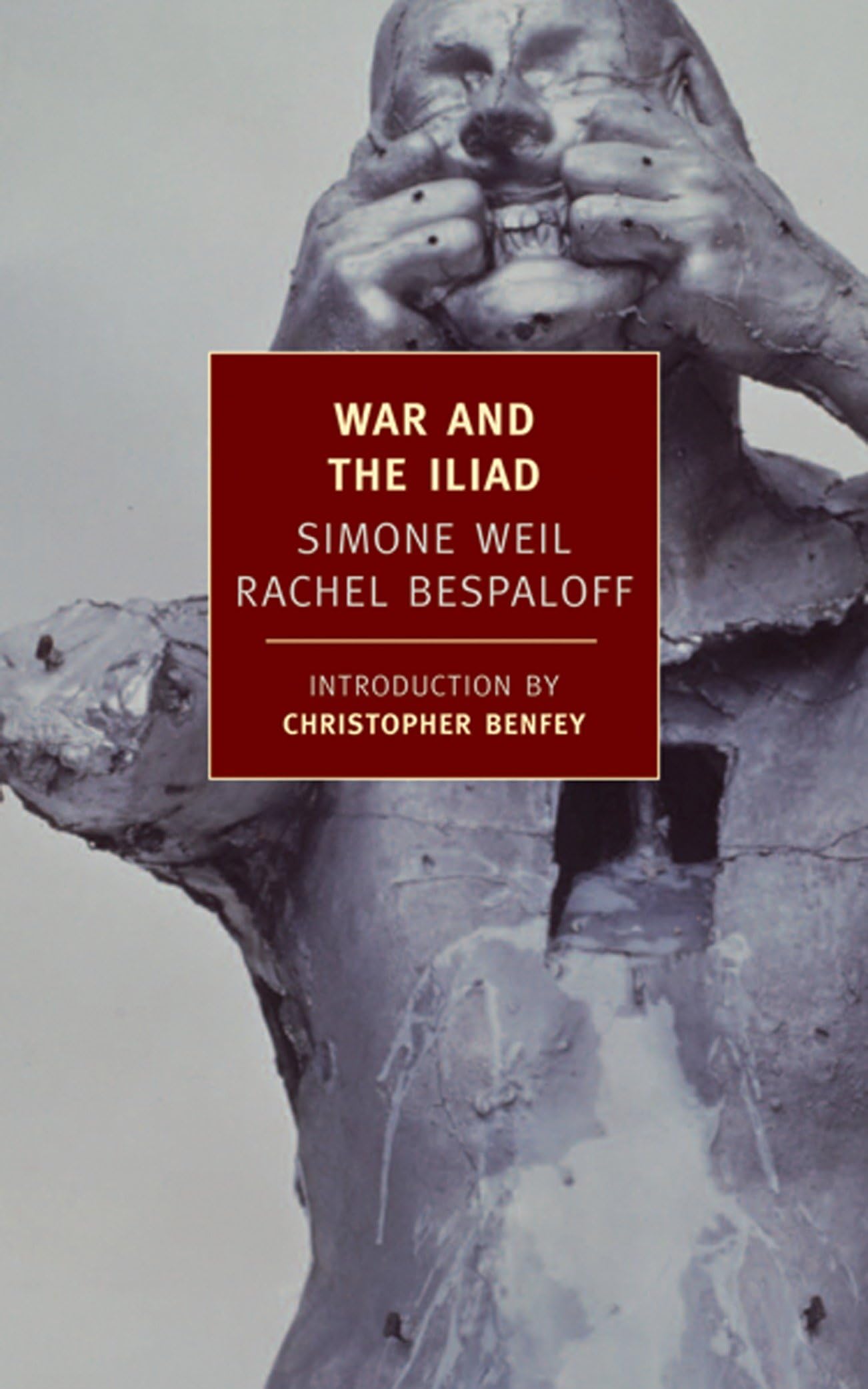 Libro: War and the Iliad