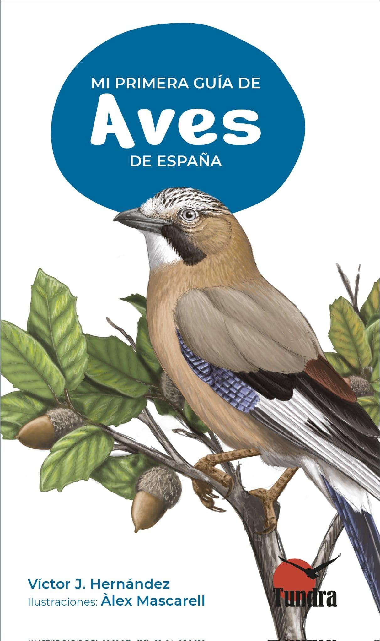 Mi primera guía de aves de españa