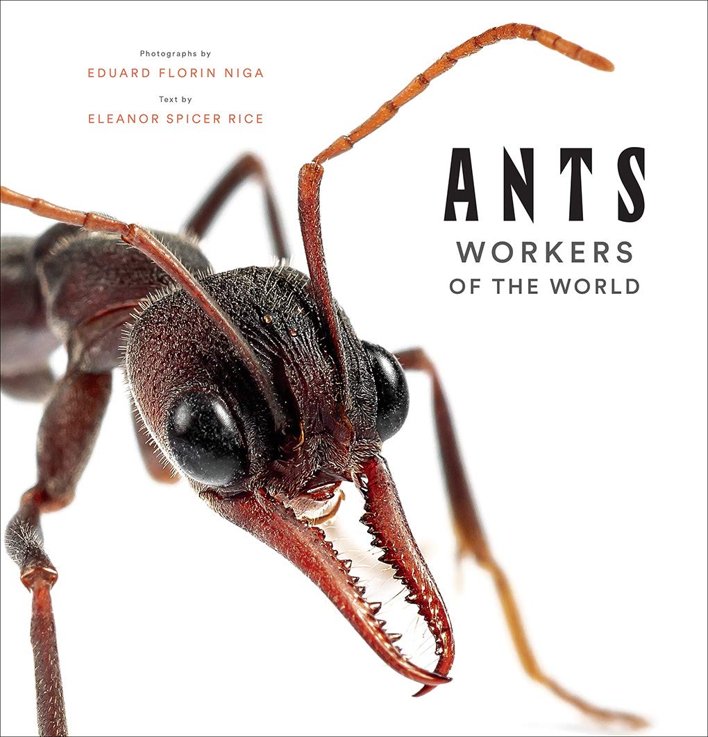 Libro: Ants: workers of the world
