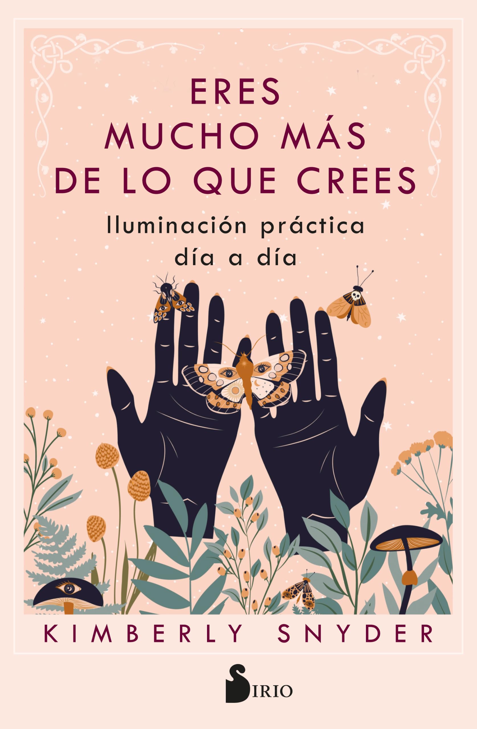 Libro: Eres mucho más de lo que crees: Iluminación práctica día a día (Spanish Edition)