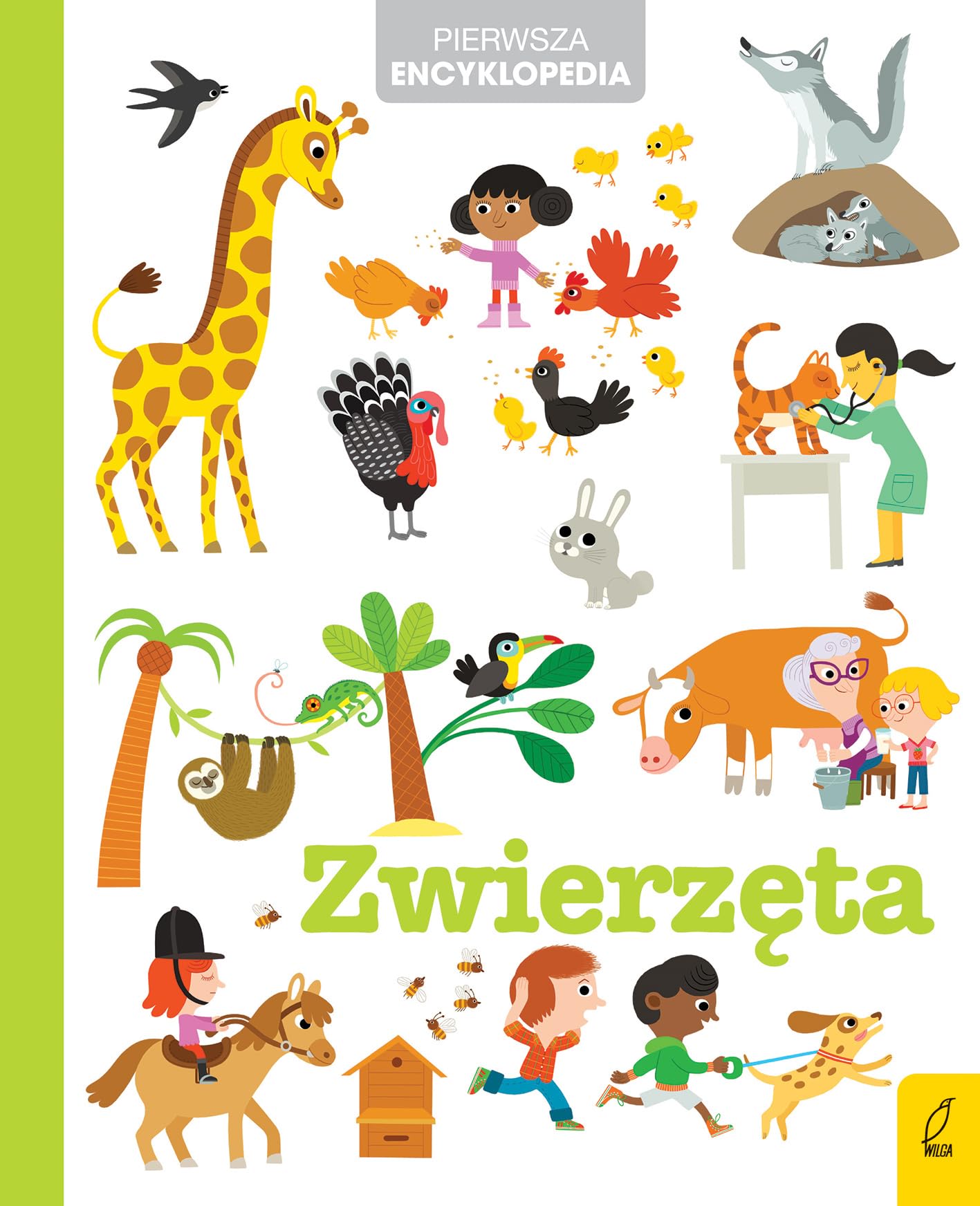 Libro: ZwierzÄta Pierwsza encyklopedia [KSIÄĹťKA]