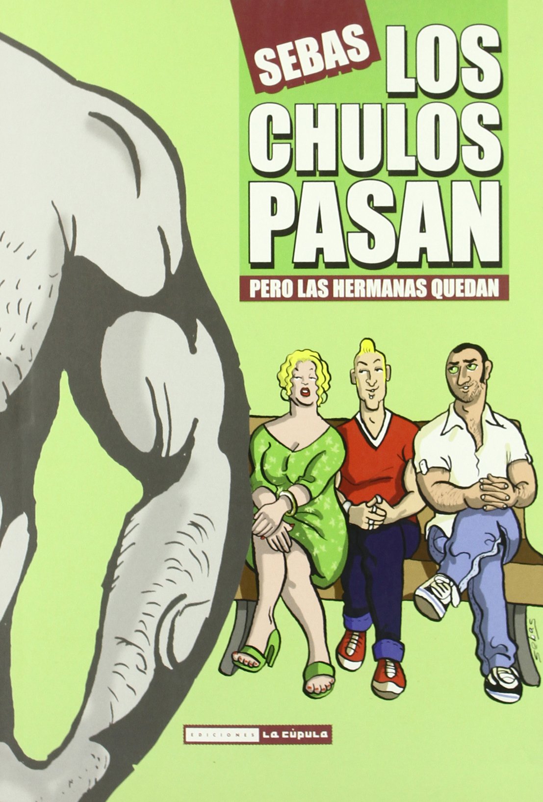 Libro: Los chulos pasan pero las hermanas quedan (NOVELA GRAFICA)