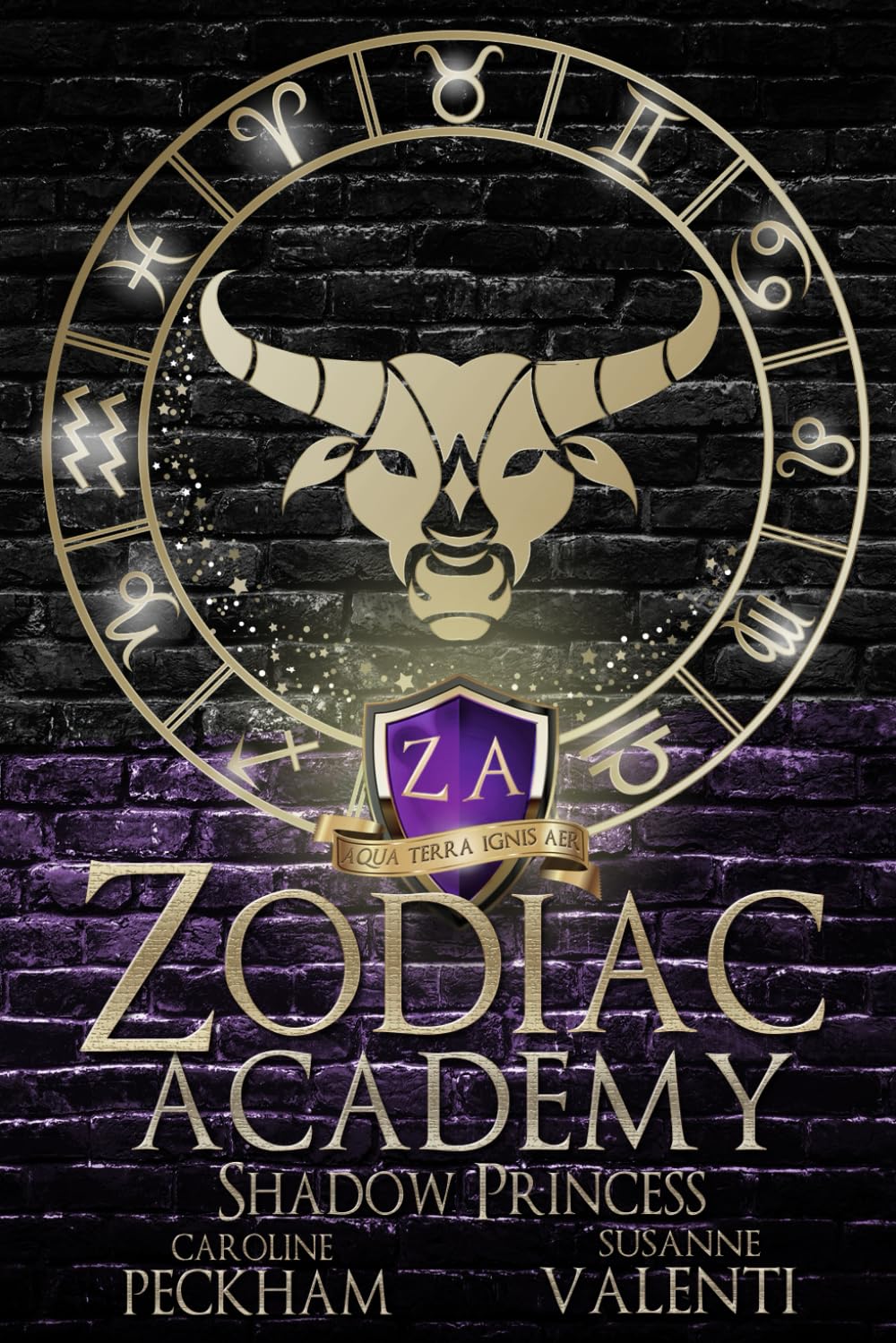 Libro: Zodiac Academy 4: Shadow Princess