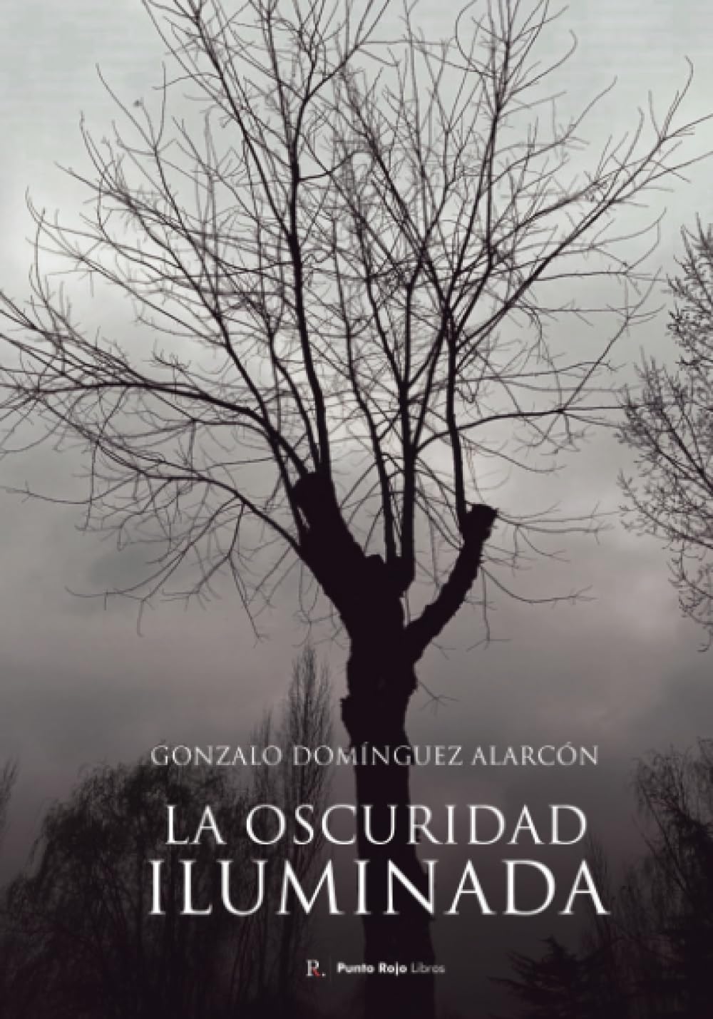Libro: La oscuridad iluminada (Spanish Edition)