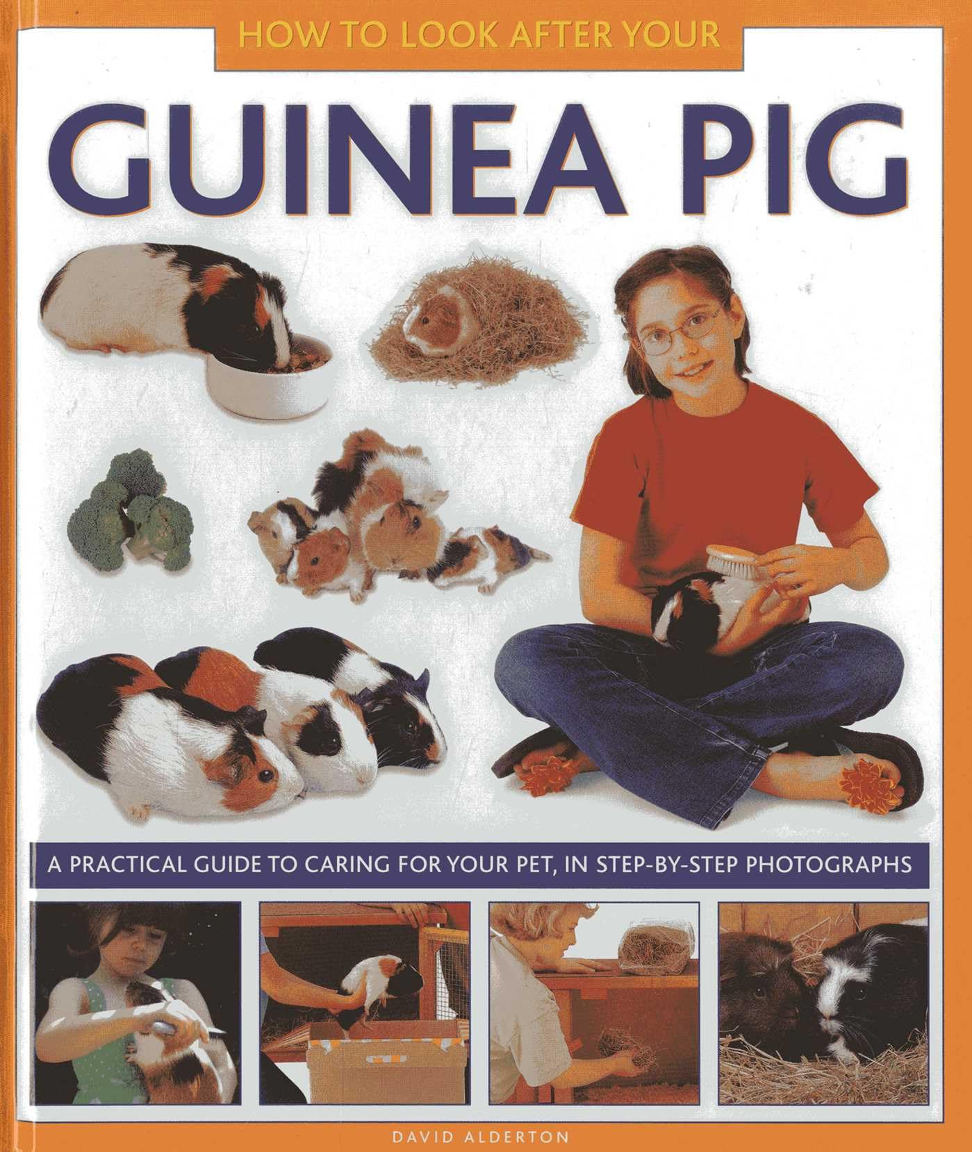 Libro: How to Look After Your Guinea Pig: A Practical Guide to Caring for Your Pet, in Step-by-step Photographs