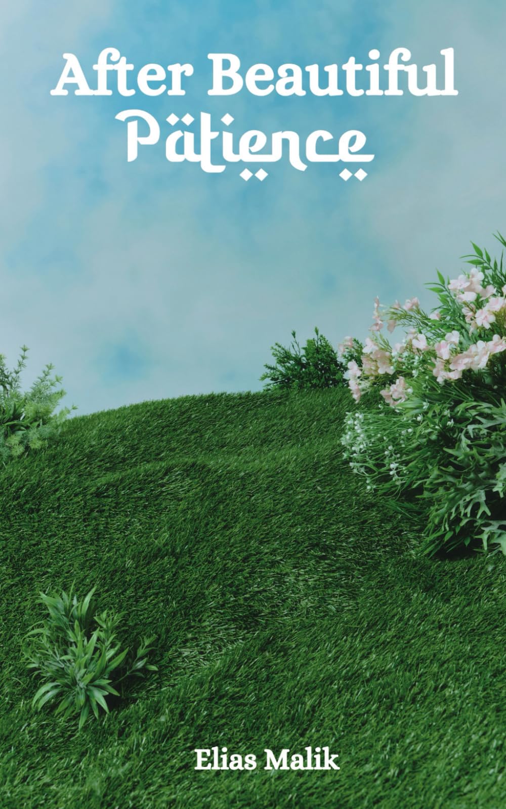 Libro: After Beautiful Patience: Inspirational Islamic Reminders, Poems, and Reflections