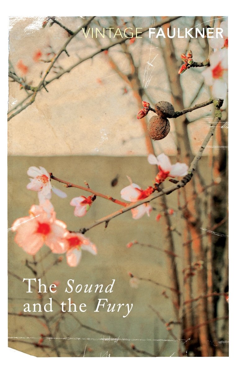 Libro: Sound and the fury, the (vintage classics)