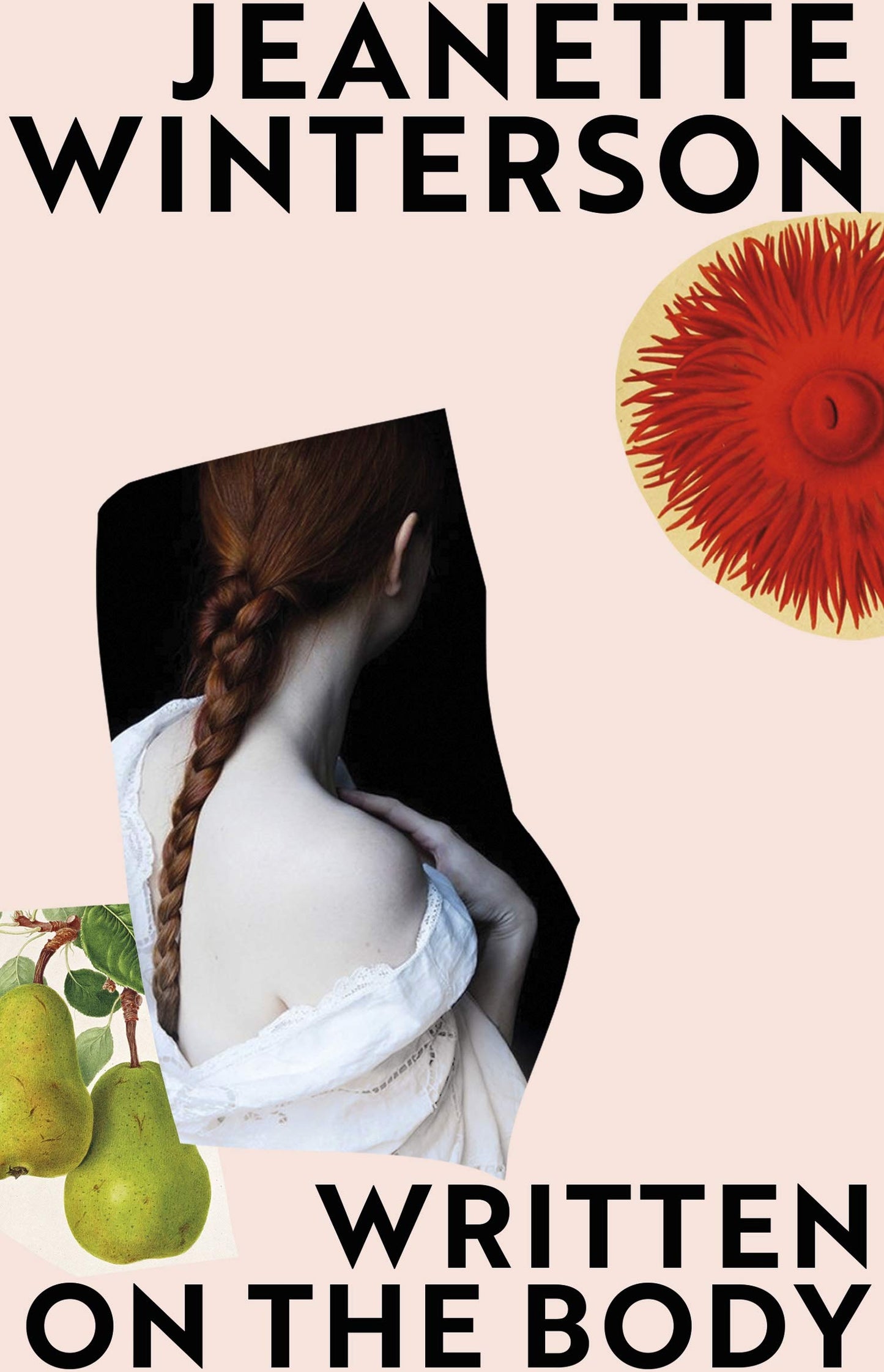 Libro: Written on the body