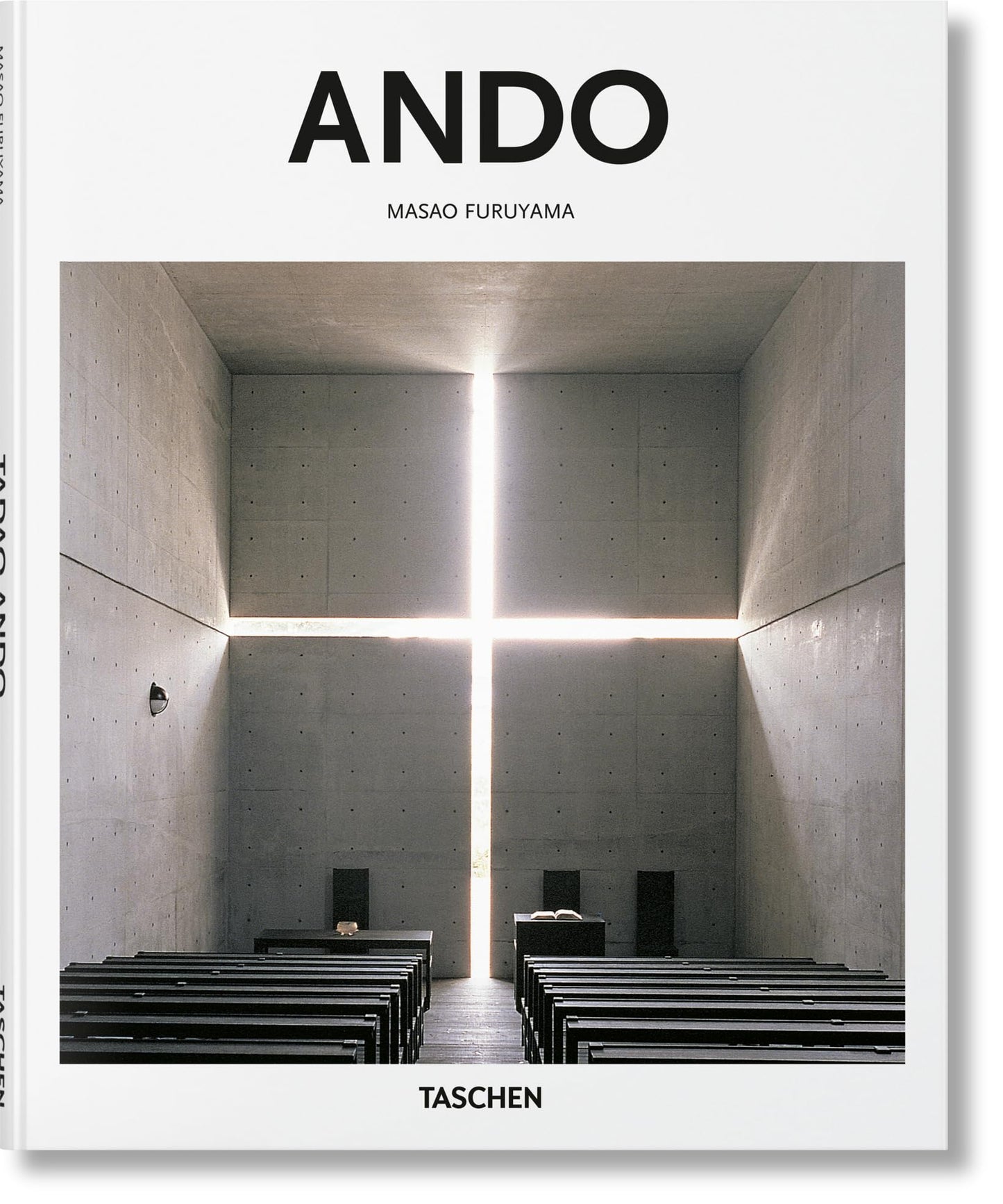 Libro: Ando (Basic Art)