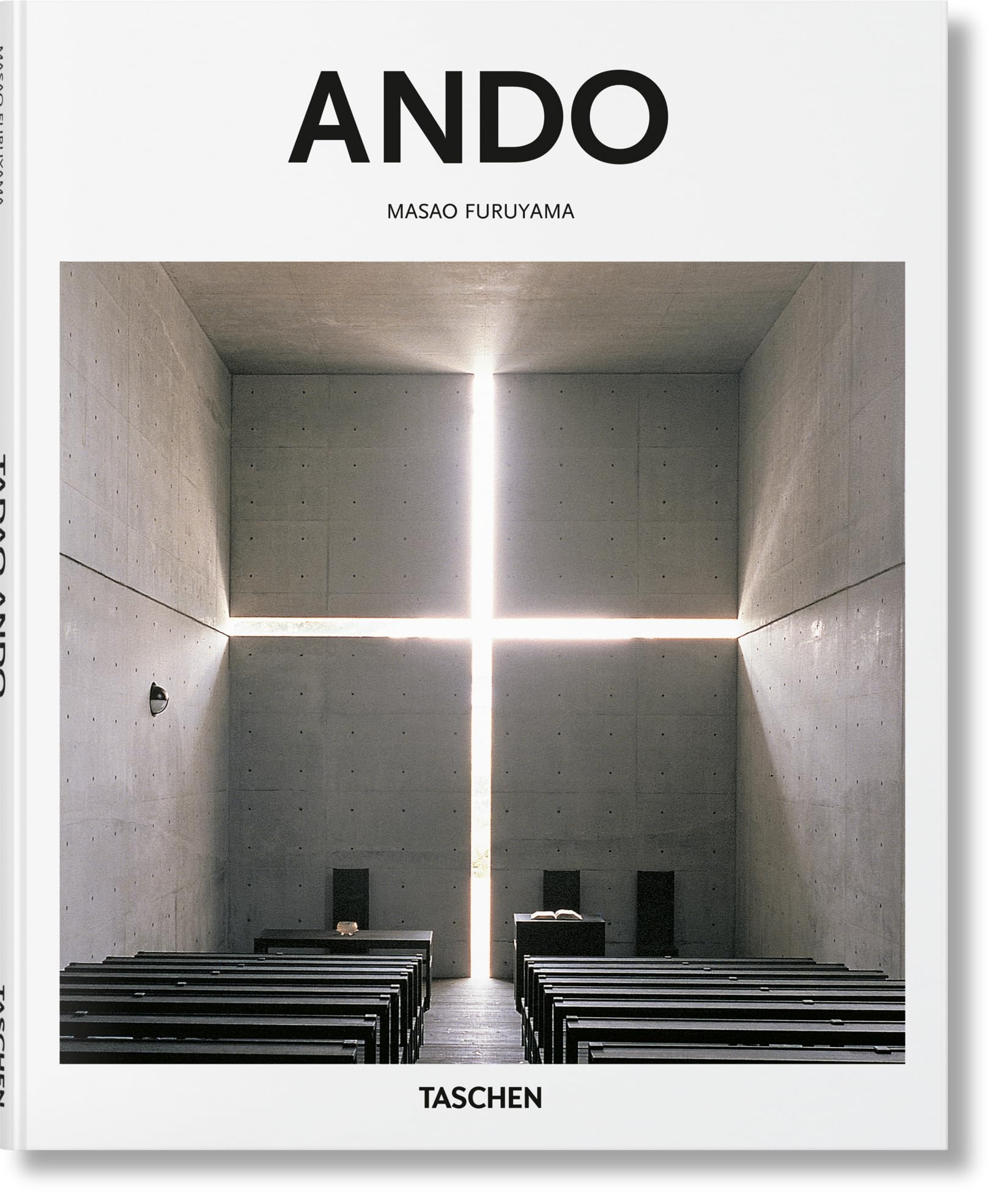 Libro: Ando (Basic Art)