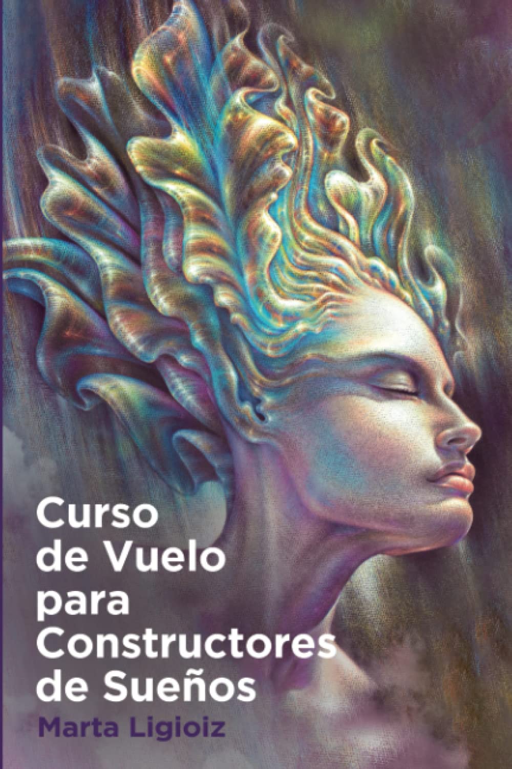 Libro: Curso de Vuelo para Constructores de Sueños