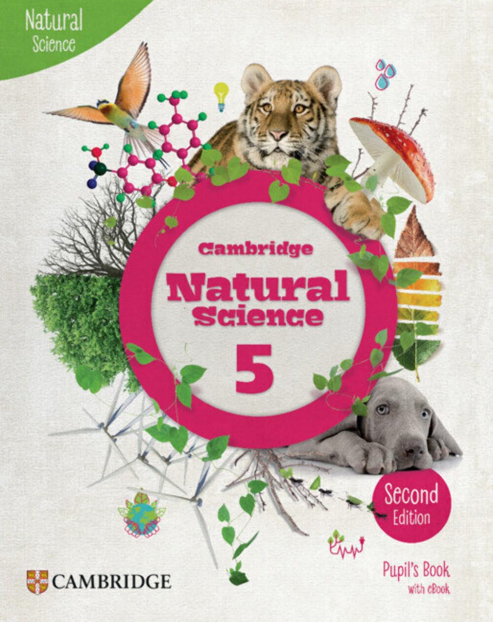 Libro: Cambridge Natural Science Second edition Level 5 Pupil's Book with eBook (2023)