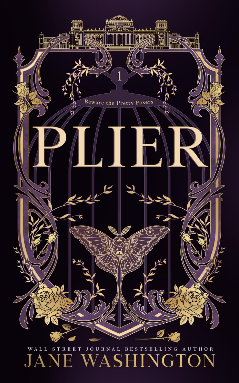 Libro: Plier (Ironside Academy)