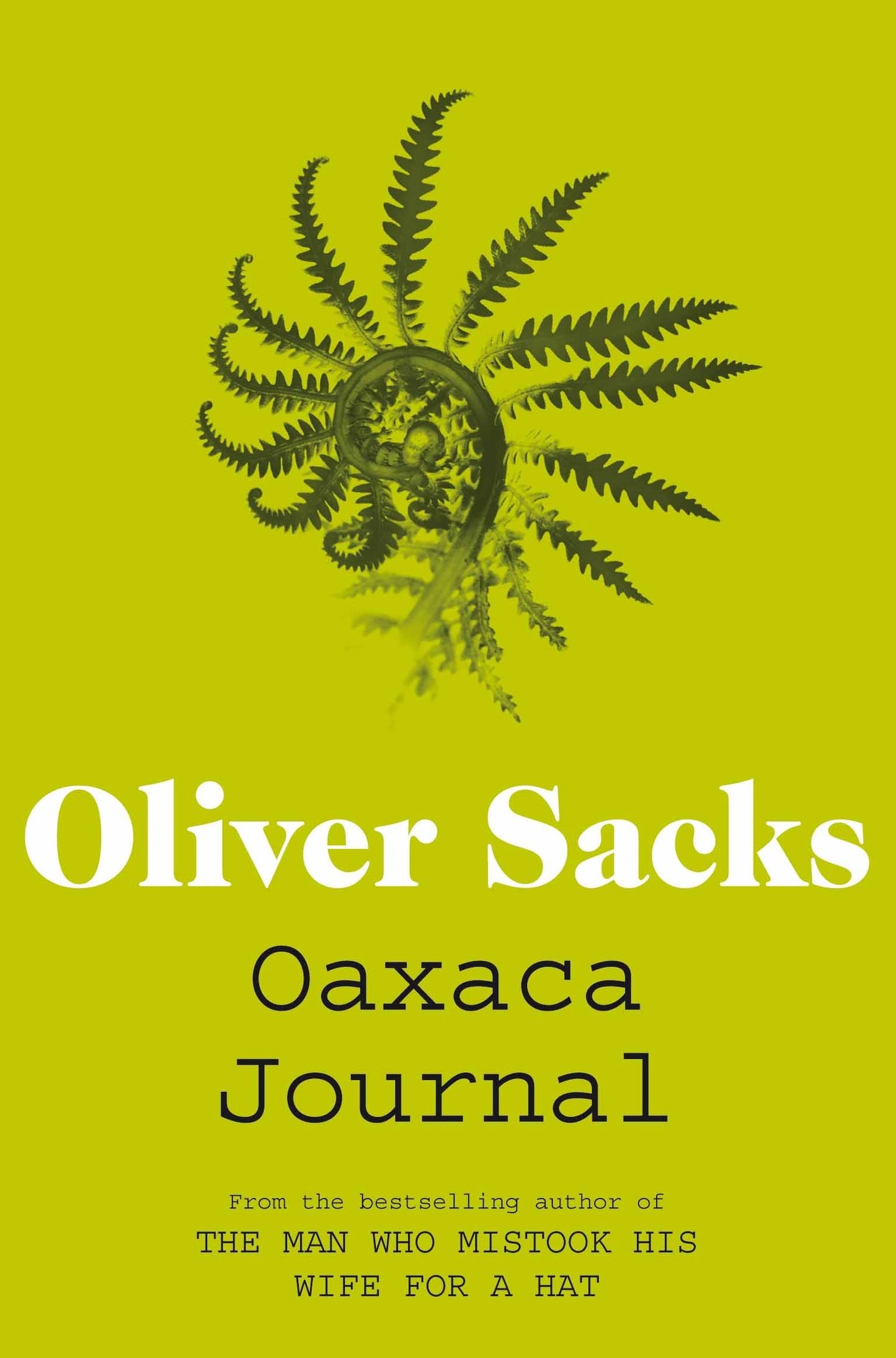 Libro: Oaxaca Journal