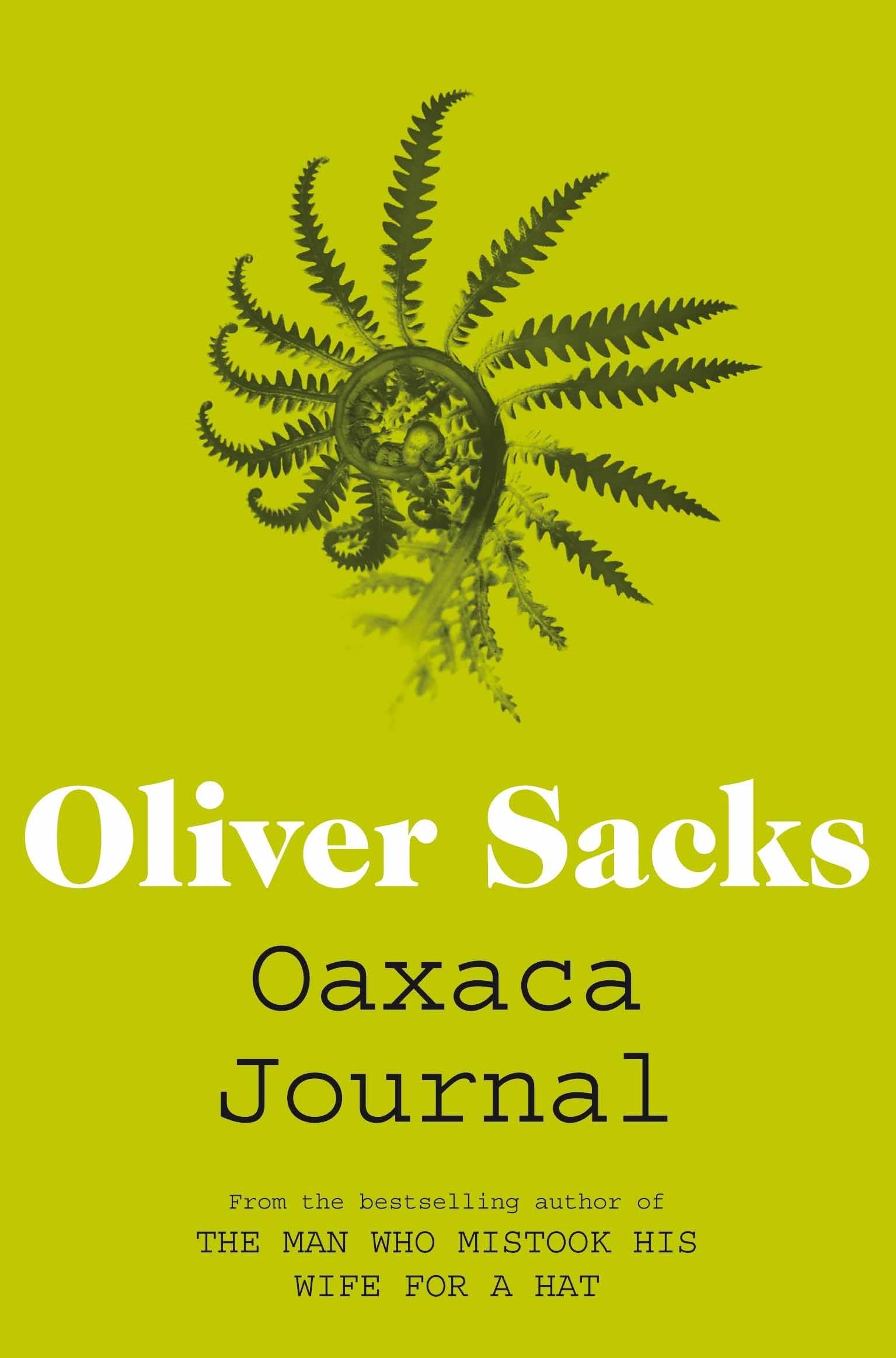 Libro: Oaxaca Journal