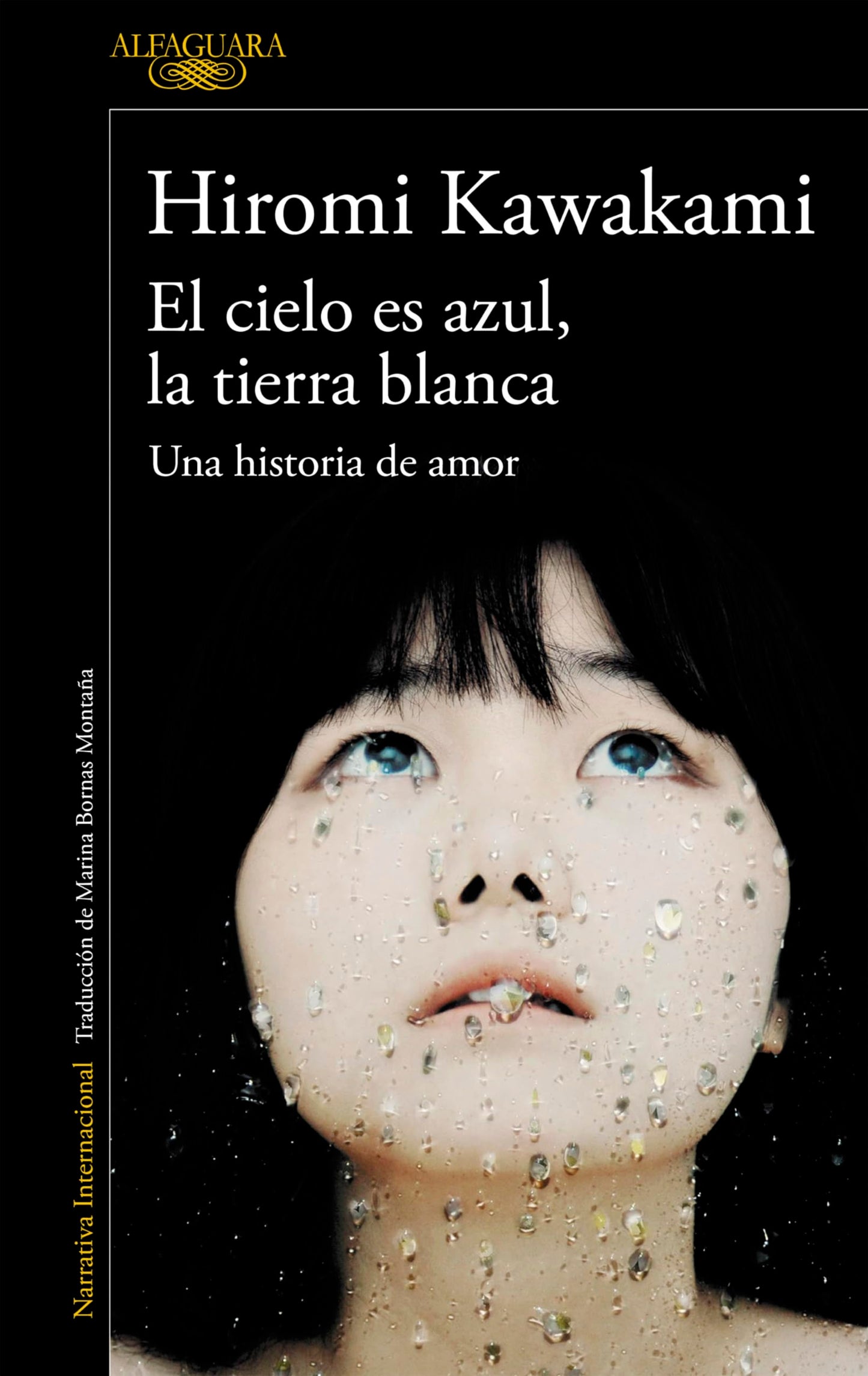 Libro: El cielo es azul, la tierra blanca: Una historia de amor (Literaturas)