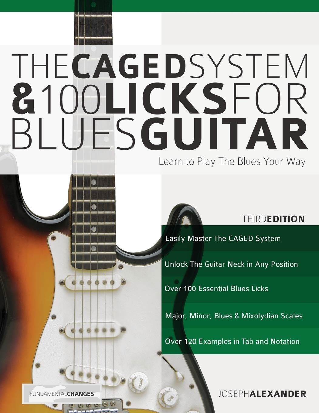 Libro: The CAGED System and 100 Licks for Blues Guitar: Learn To Play The Blues Your Way (Learn How to Play Blues Guitar)