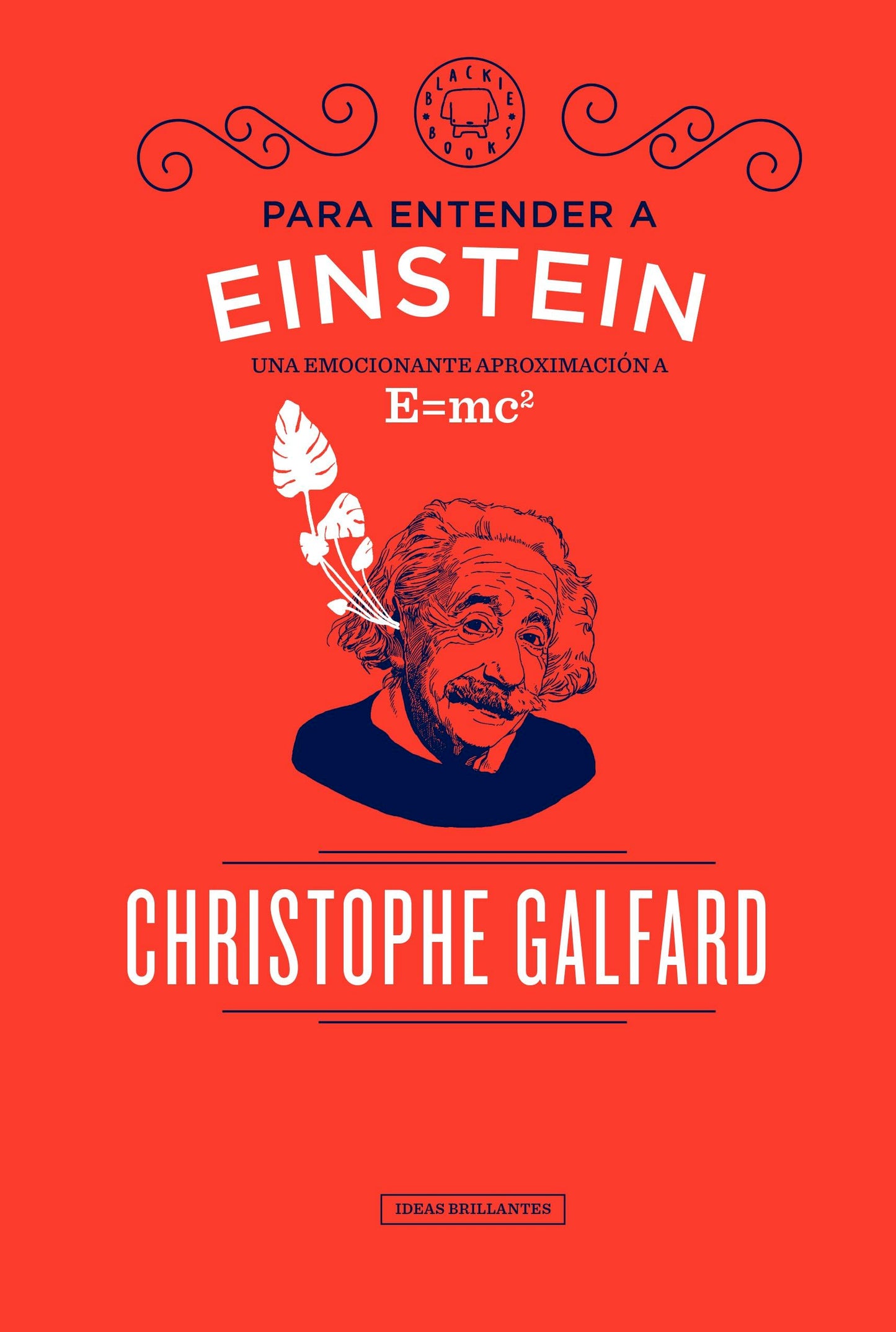 Libro: Para entender a Einstein: Una emocionante aproximación a E=mc2