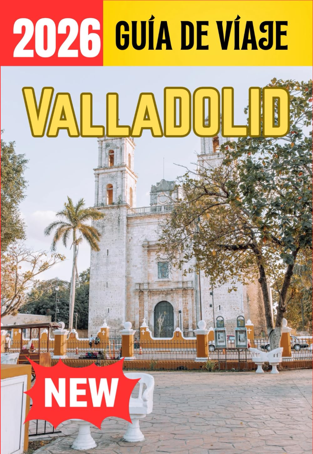 Libro: VALLADOLID GUÍA DE VÍAJE (Spanish Edition)