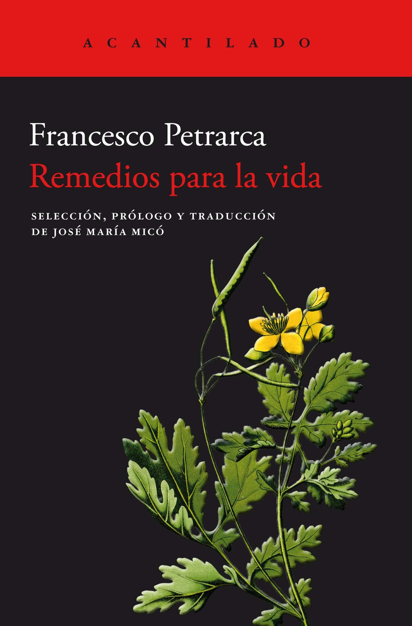 Libro: Remedios para la vida (Spanish Edition)