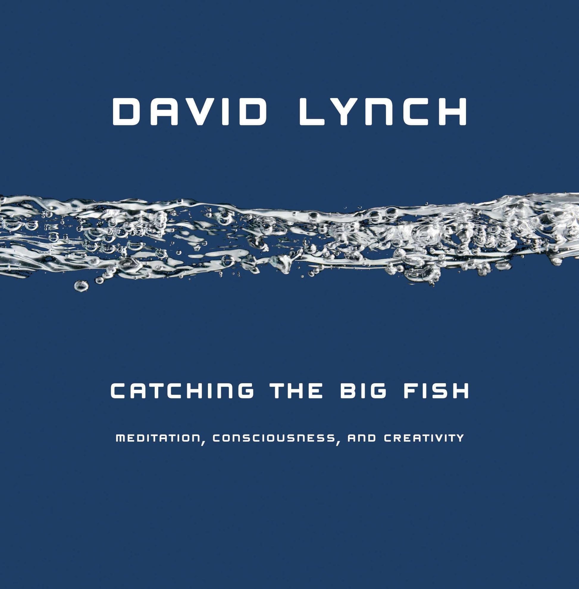 Libro: Catching the Big Fish: Meditation, Consciousness, and Creativity