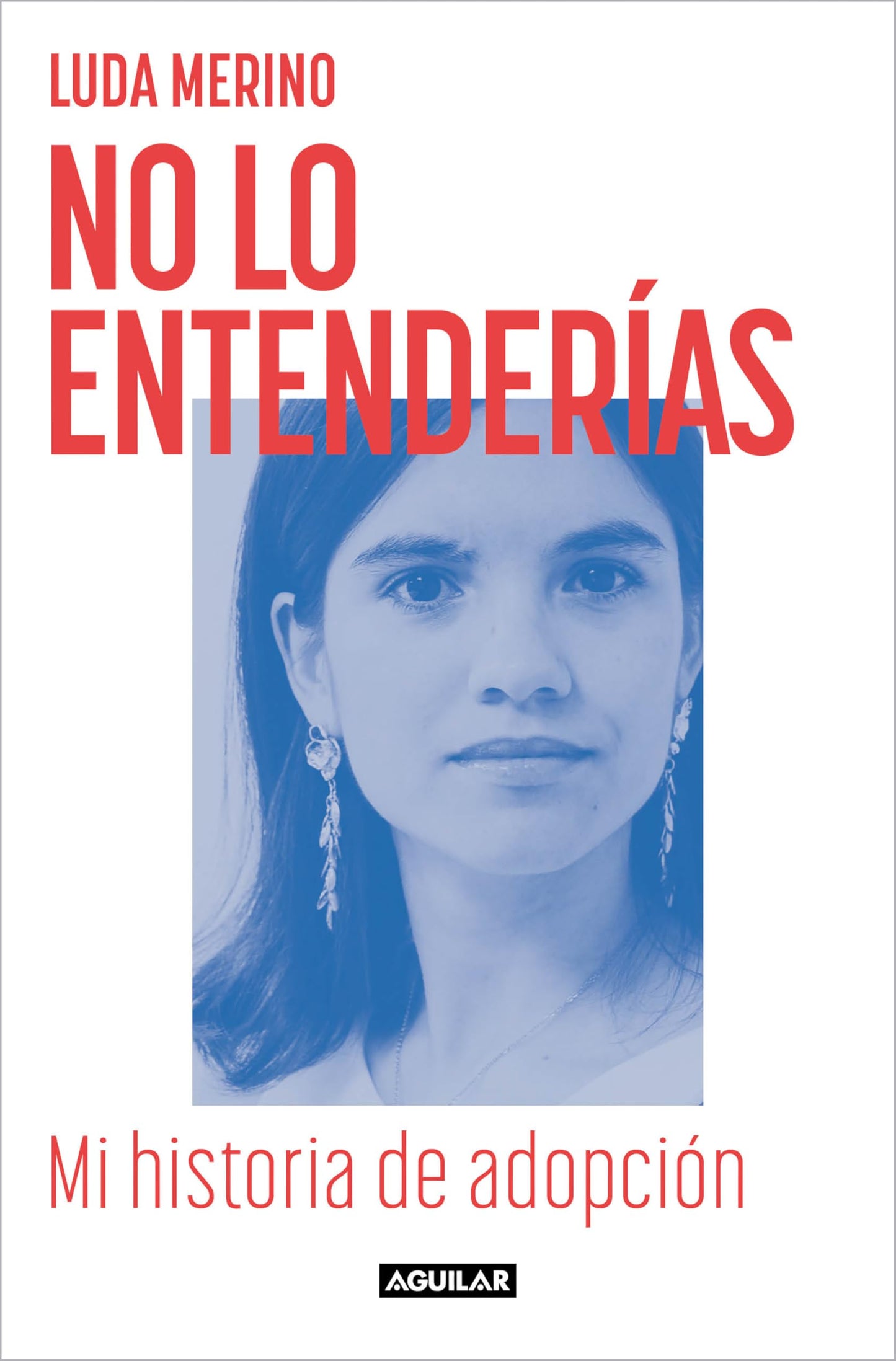 Libro: No lo entenderías. Mi historia de adopción (Primera persona)