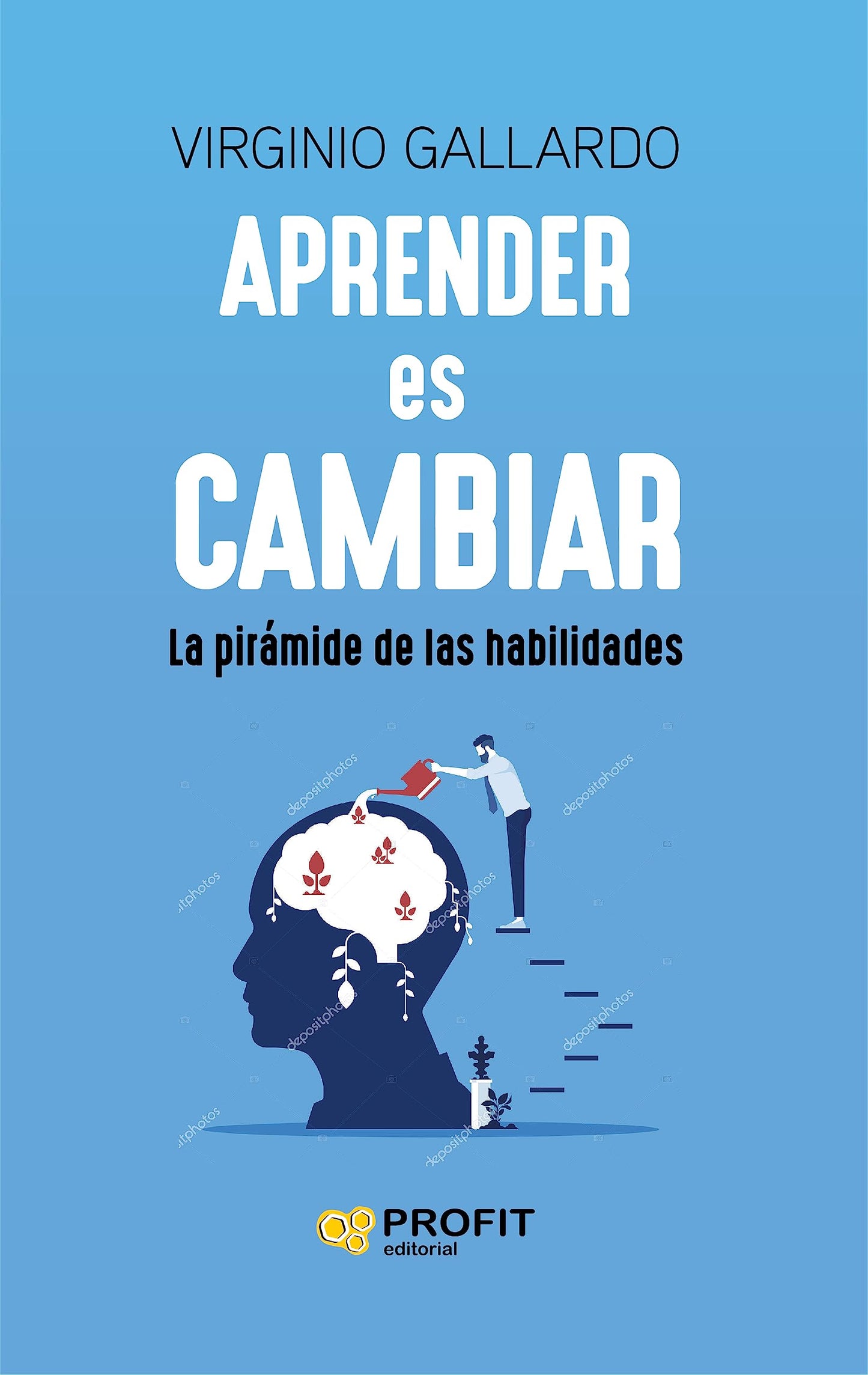 Libro: Aprender Es Cambiar - Las Claves Para Llegar Al Profesional Que Quieres Ser: La pirámide de las habilidades (SIN COLECCION)